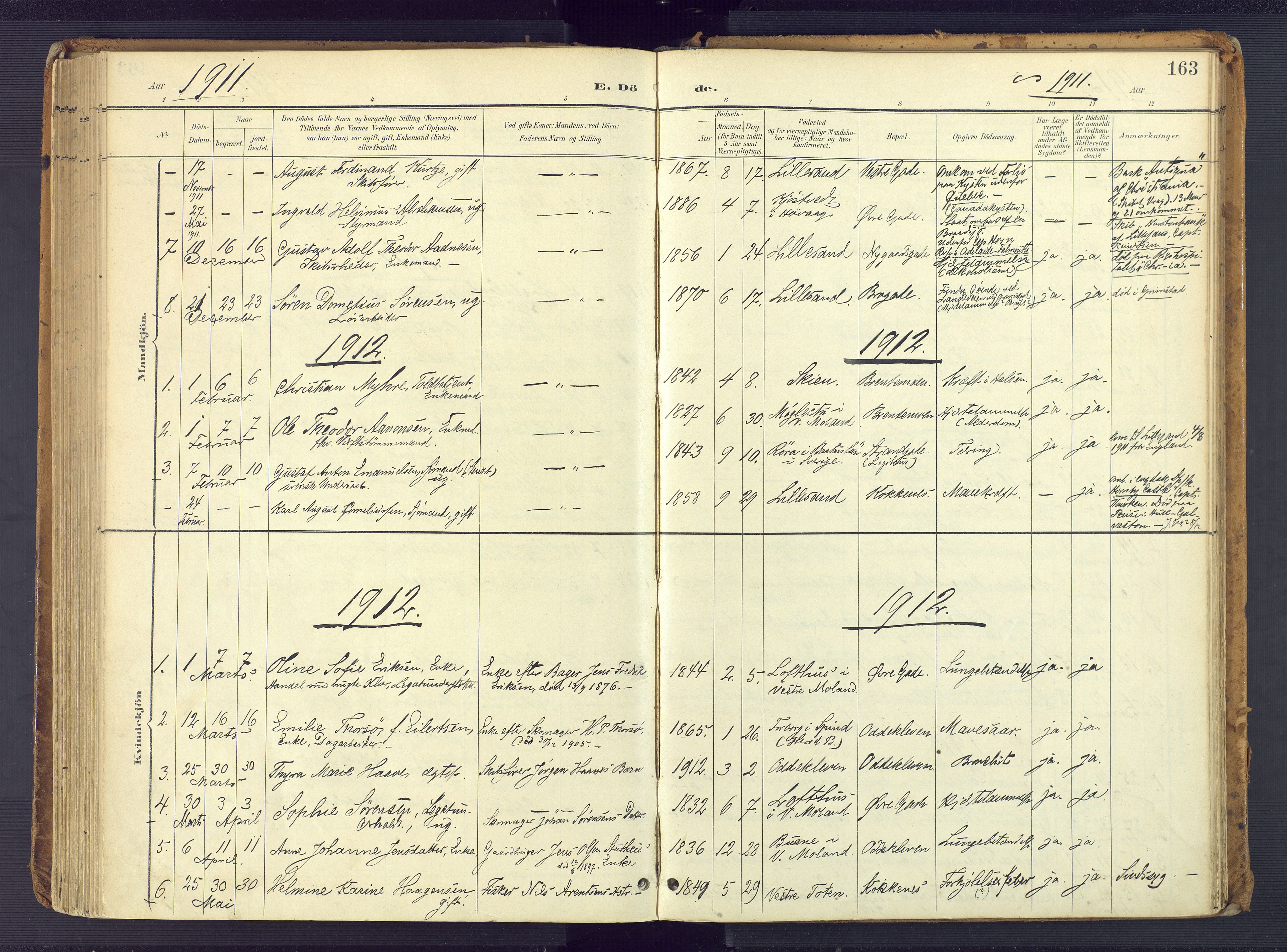 Vestre Moland sokneprestkontor, AV/SAK-1111-0046/F/Fa/Faa/L0002: Parish register (official) no. A 2, 1900-1926, p. 163