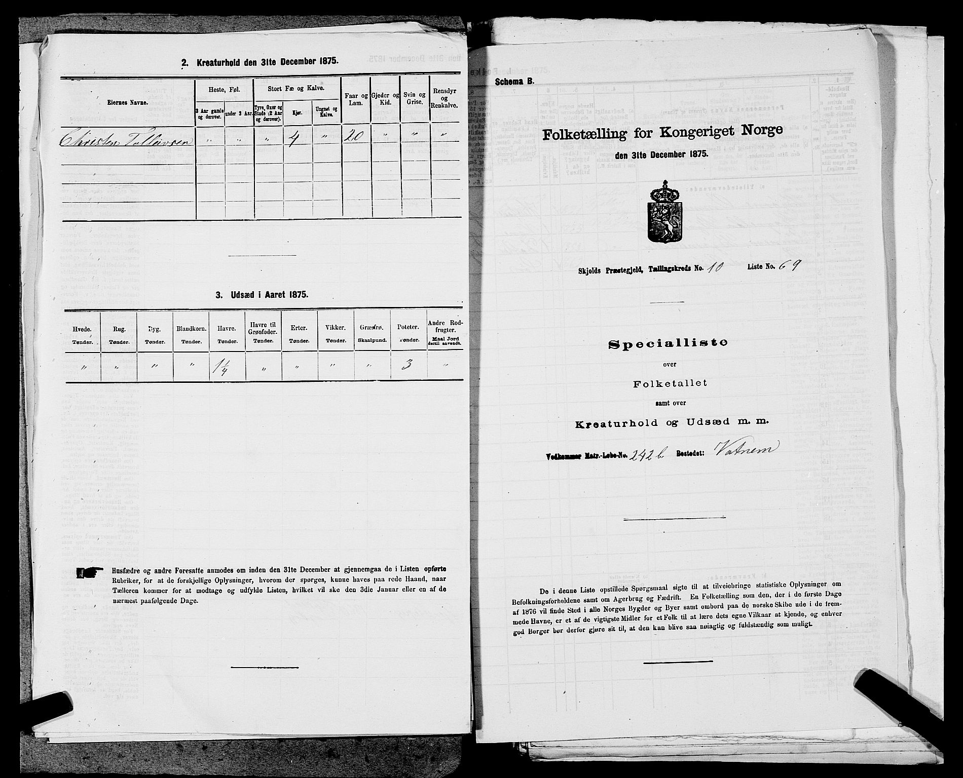 SAST, 1875 census for 1154P Skjold, 1875, p. 1098