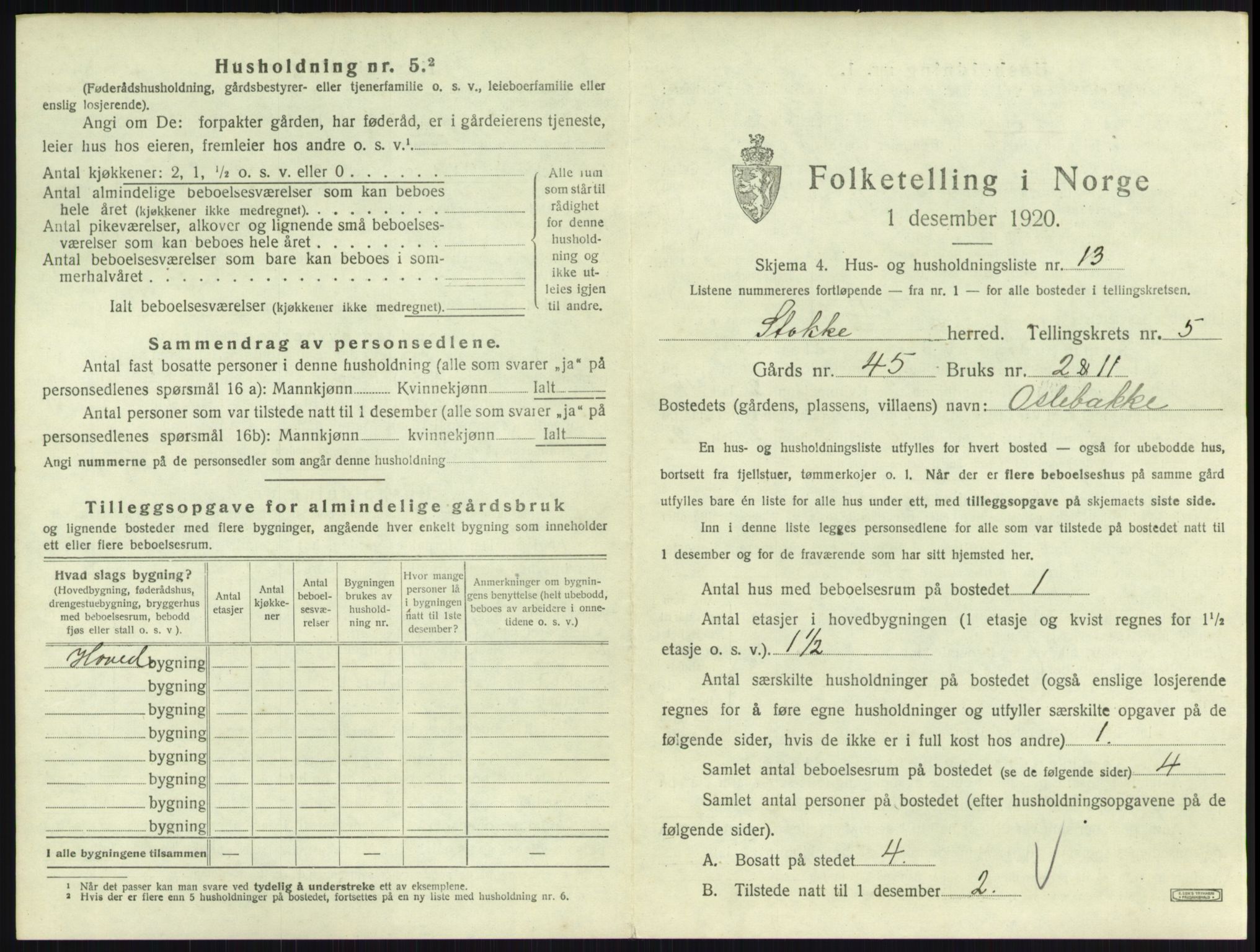 SAKO, 1920 census for Stokke, 1920, p. 1007