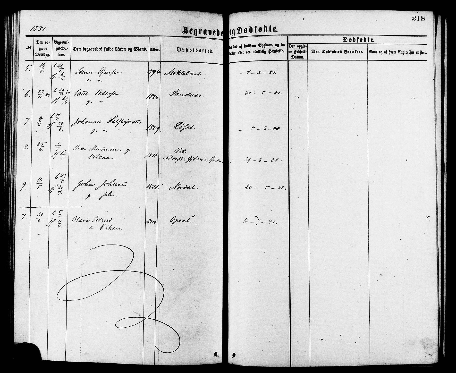 Ministerialprotokoller, klokkerbøker og fødselsregistre - Møre og Romsdal, SAT/A-1454/502/L0024: Parish register (official) no. 502A02, 1873-1884, p. 218