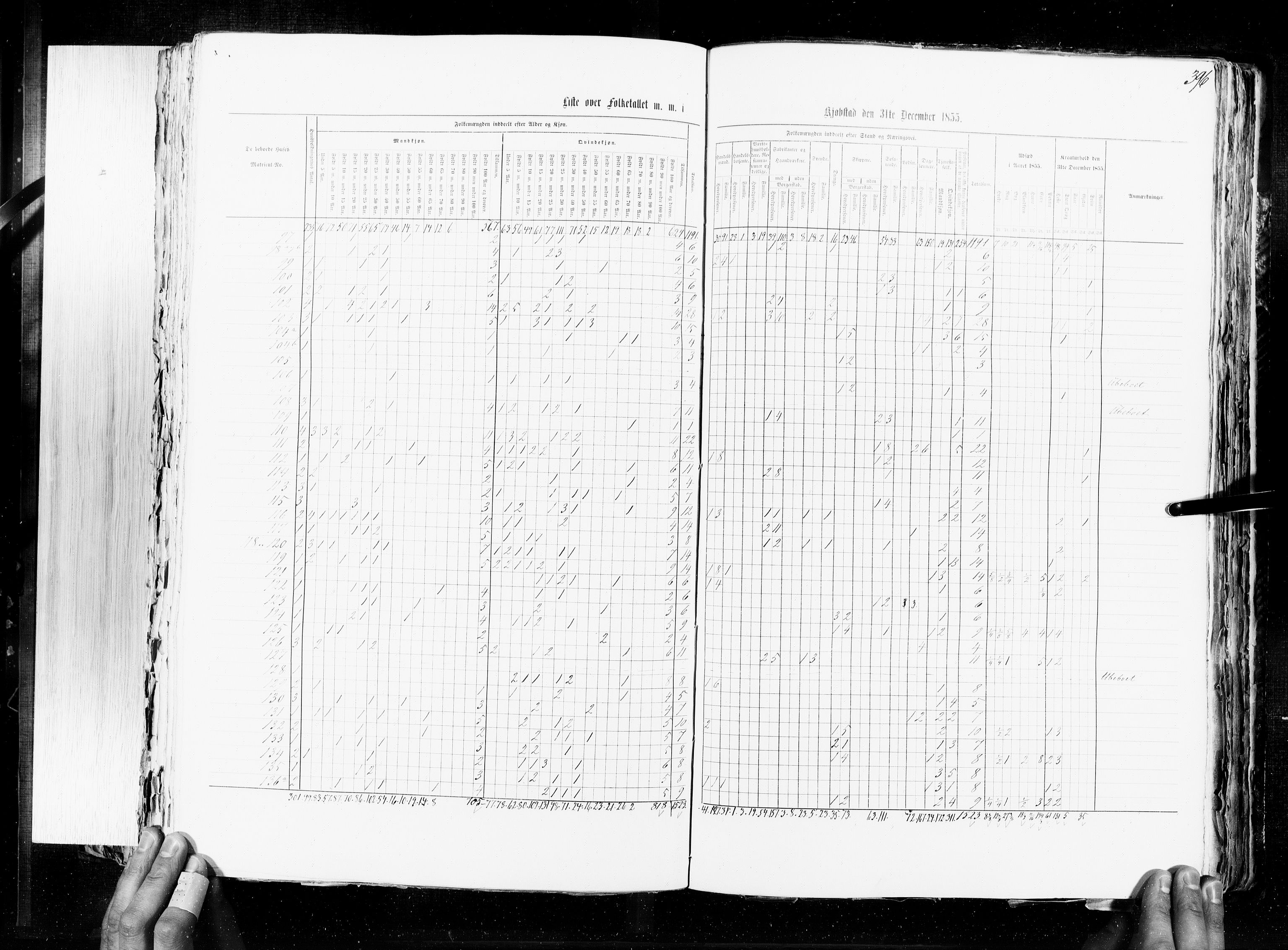 RA, Census 1855, vol. 7: Fredrikshald-Kragerø, 1855, p. 396