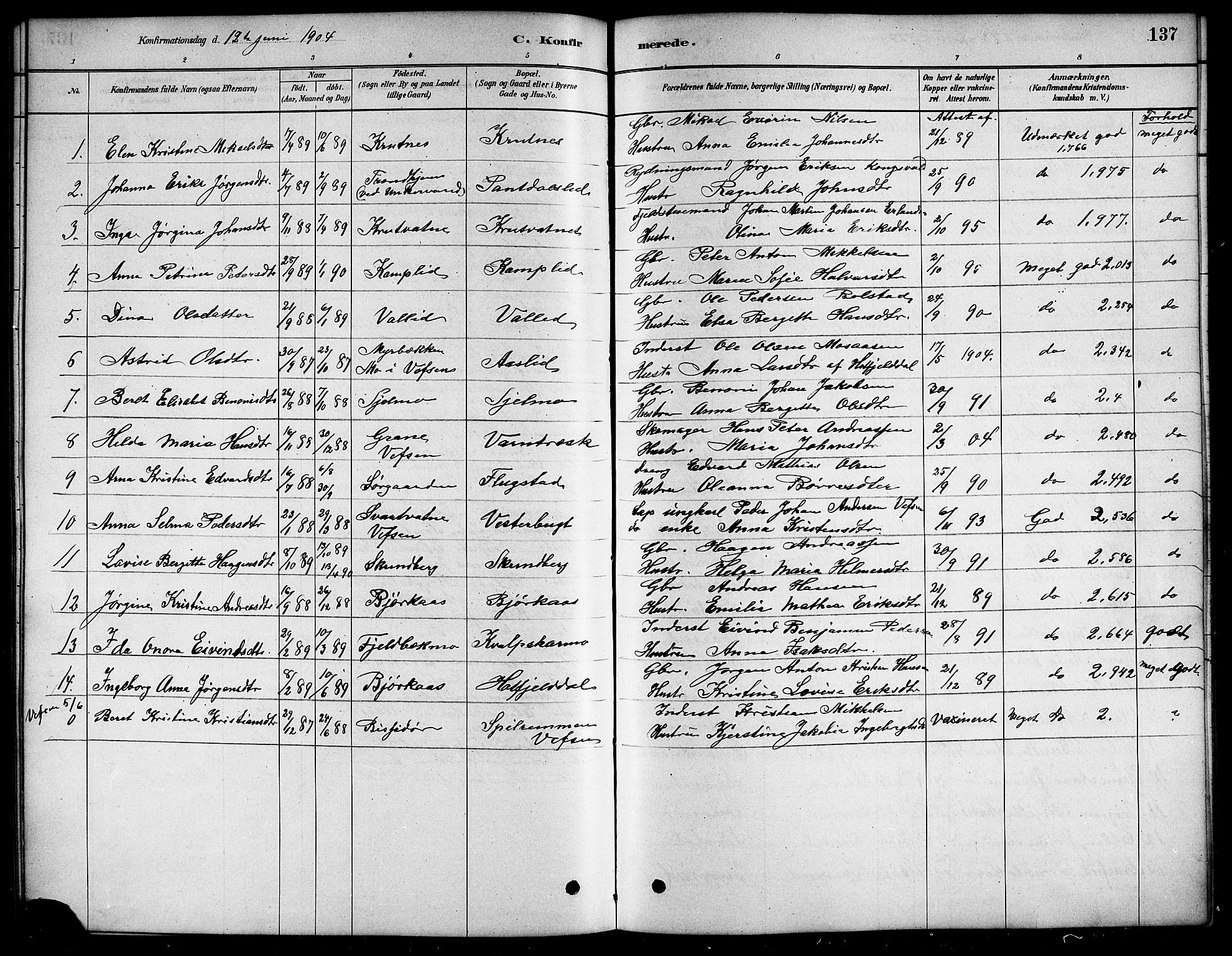 Ministerialprotokoller, klokkerbøker og fødselsregistre - Nordland, SAT/A-1459/823/L0330: Parish register (copy) no. 823C02, 1879-1916, p. 137