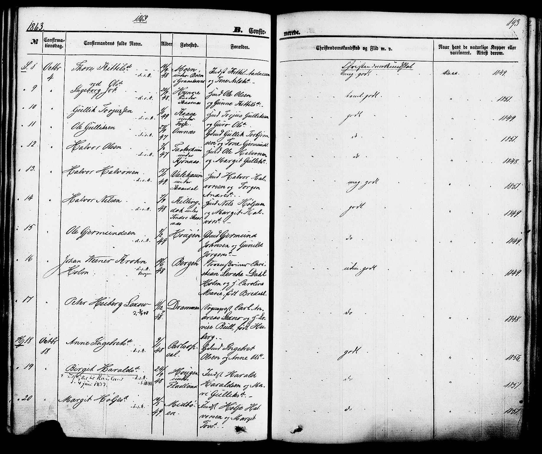 Hjartdal kirkebøker, SAKO/A-270/F/Fa/L0009: Parish register (official) no. I 9, 1860-1879, p. 193