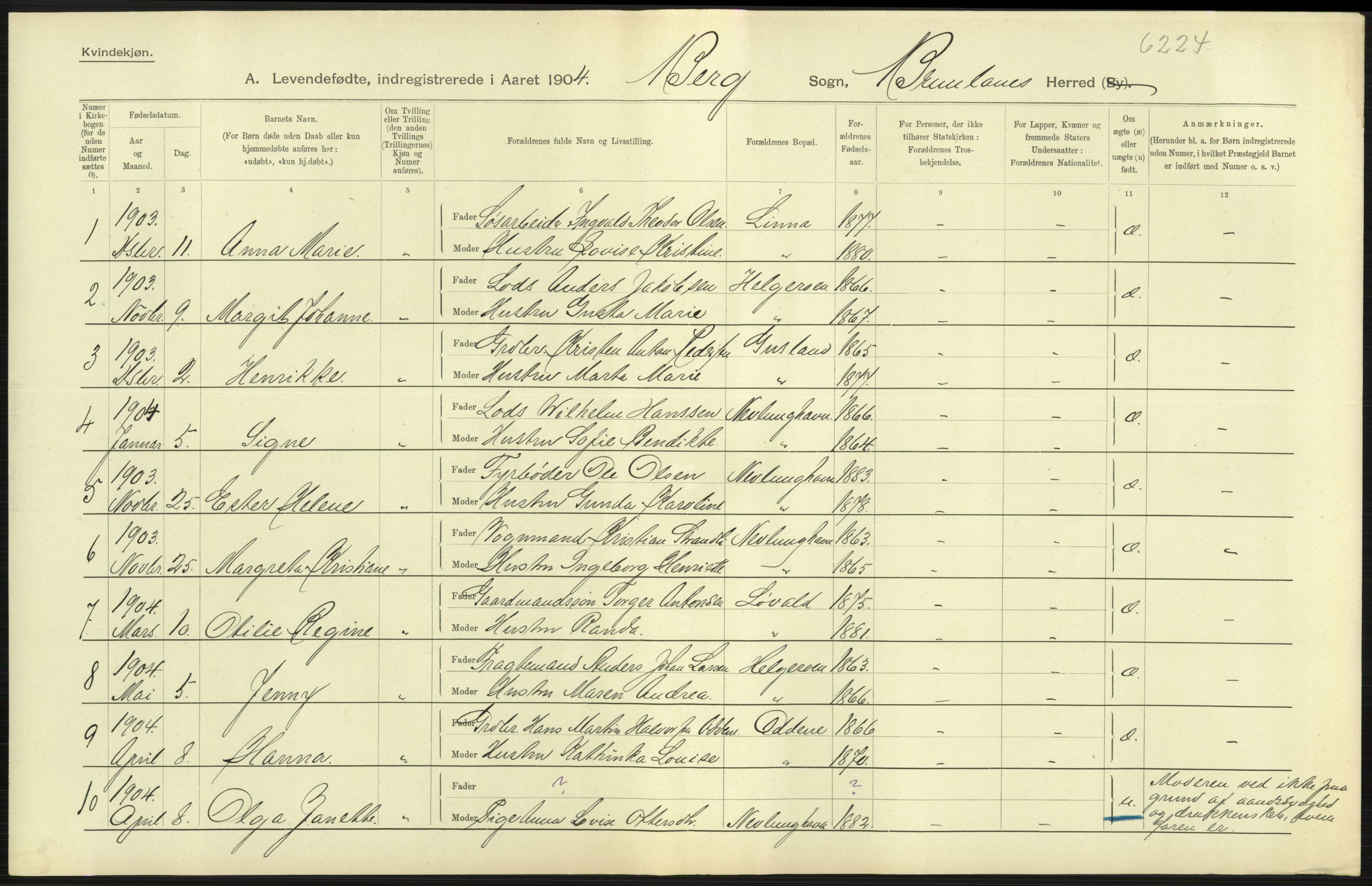 Statistisk sentralbyrå, Sosiodemografiske emner, Befolkning, AV/RA-S-2228/D/Df/Dfa/Dfab/L0008: Jarlsberg og Larvig amt: Fødte, gifte, døde, 1904, p. 55