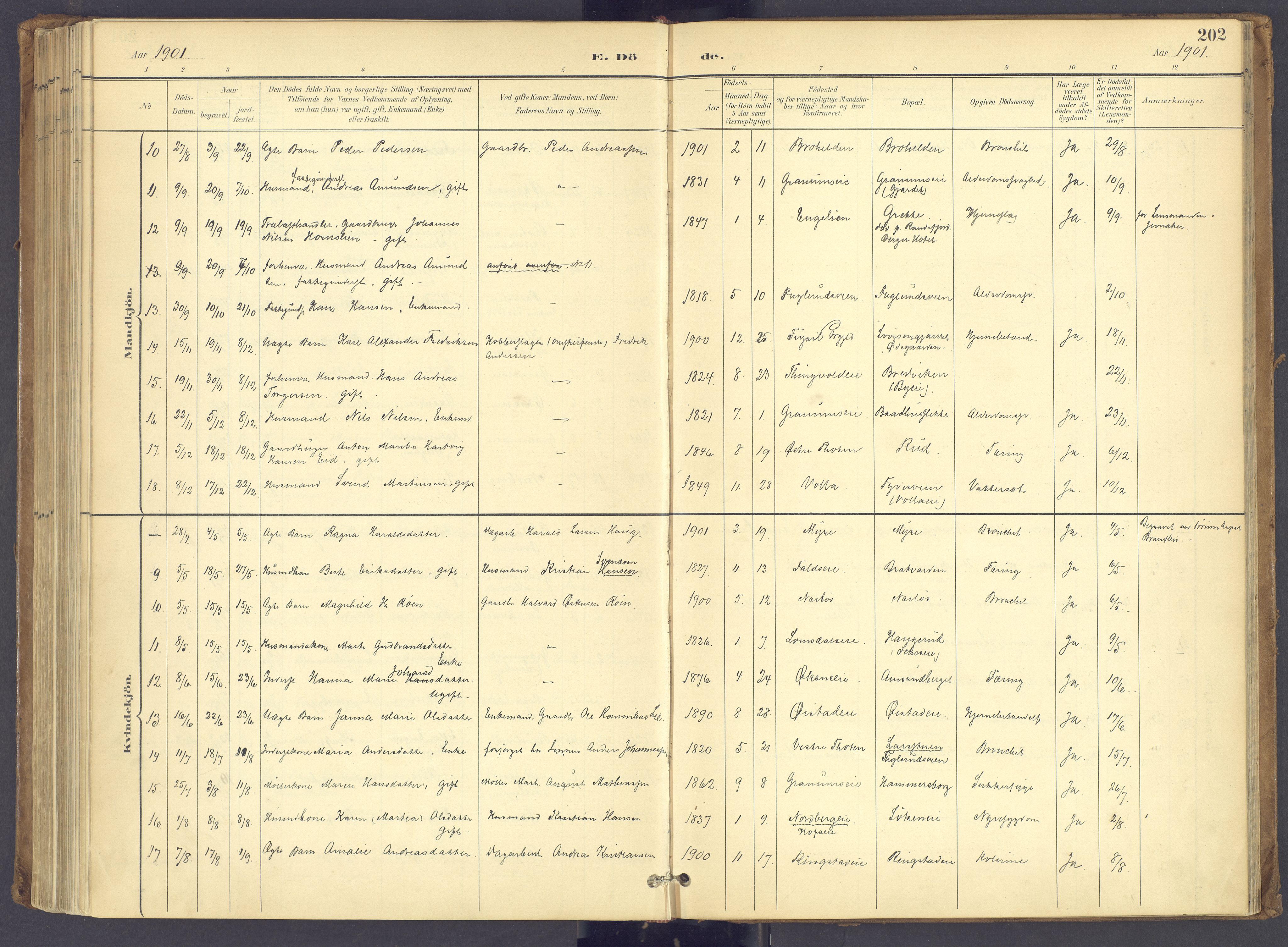 Søndre Land prestekontor, SAH/PREST-122/K/L0006: Parish register (official) no. 6, 1895-1904, p. 202