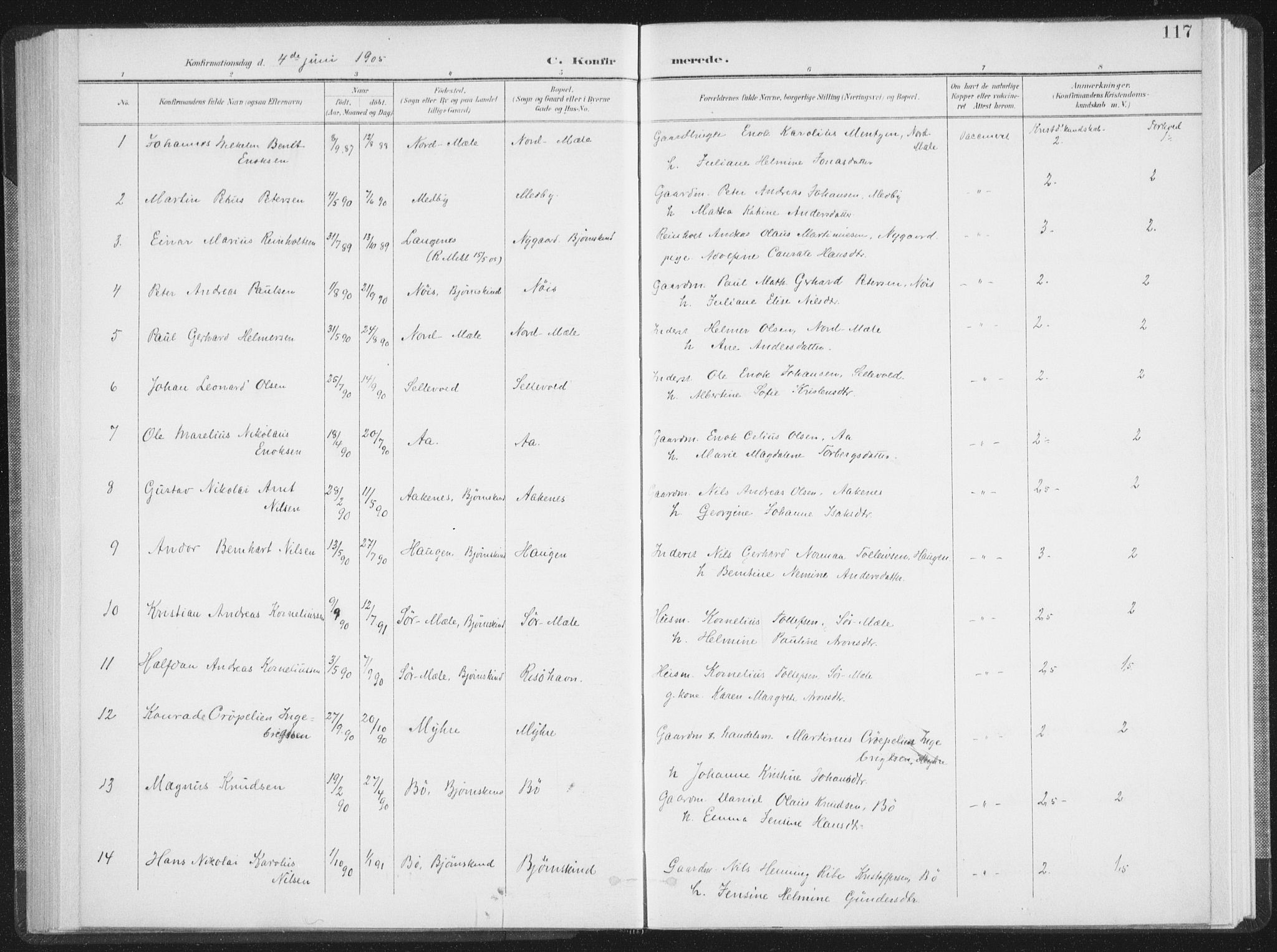 Ministerialprotokoller, klokkerbøker og fødselsregistre - Nordland, AV/SAT-A-1459/897/L1400: Parish register (official) no. 897A07, 1897-1908, p. 117