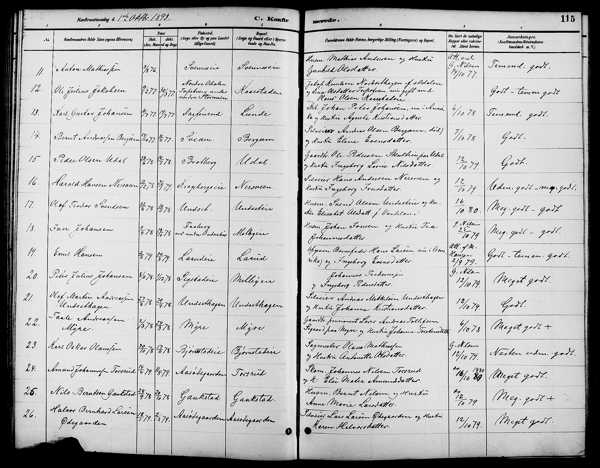 Biri prestekontor, SAH/PREST-096/H/Ha/Hab/L0004: Parish register (copy) no. 4, 1892-1909, p. 115