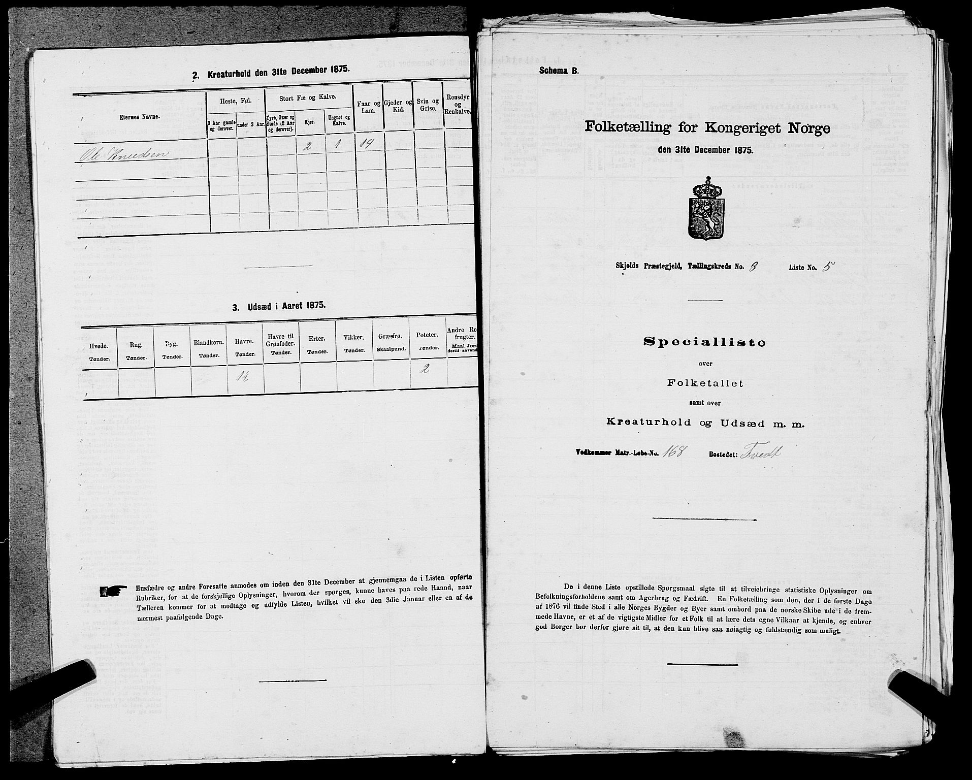 SAST, 1875 census for 1154P Skjold, 1875, p. 729