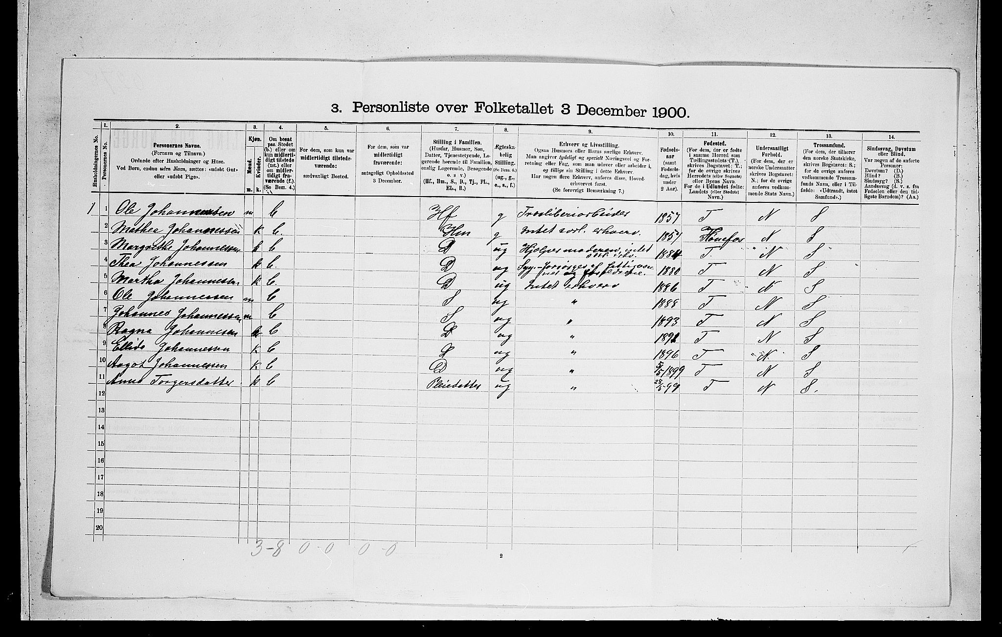 RA, 1900 census for Norderhov, 1900, p. 1007