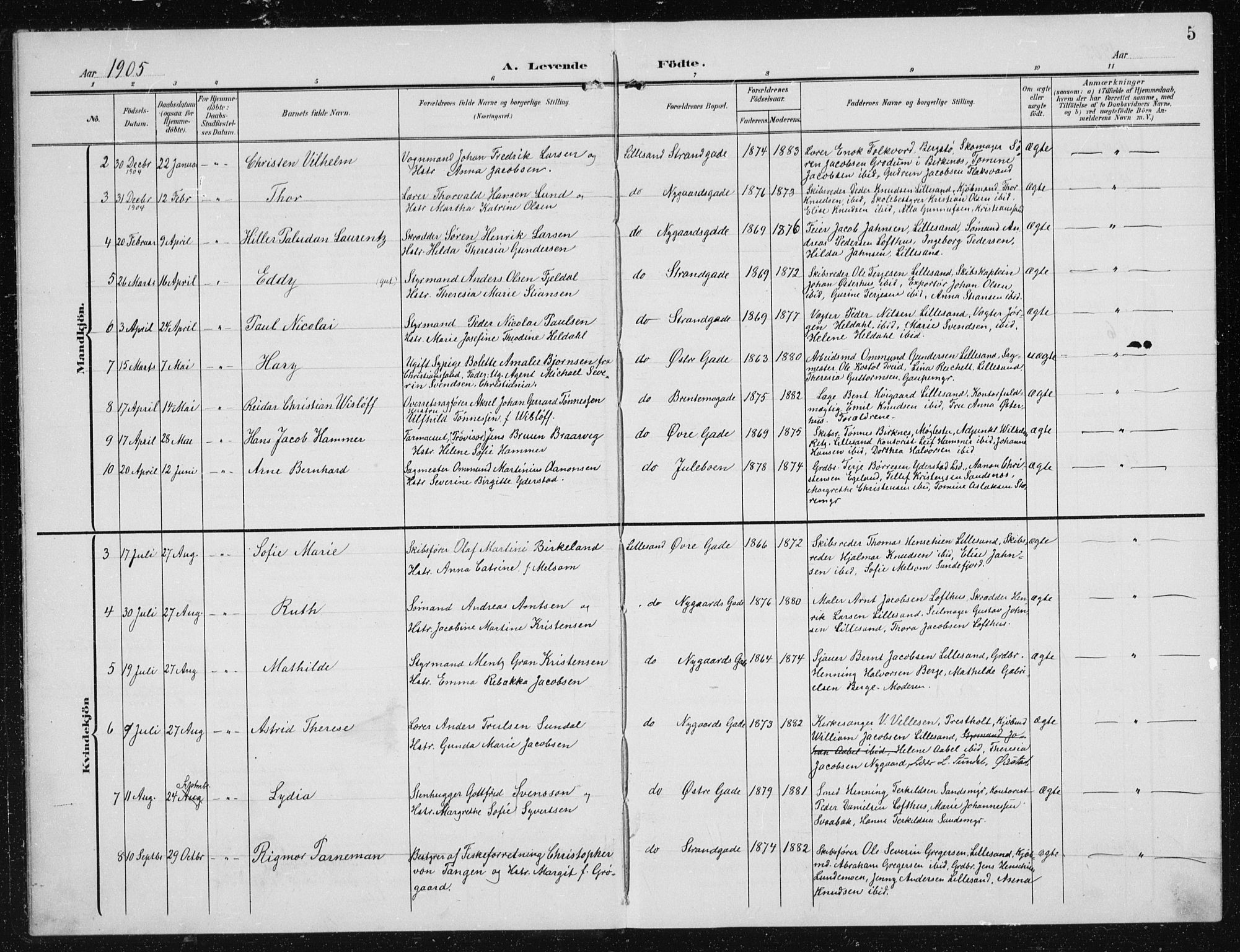 Vestre Moland sokneprestkontor, AV/SAK-1111-0046/F/Fb/Fba/L0002: Parish register (copy) no. B 2, 1904-1934, p. 5