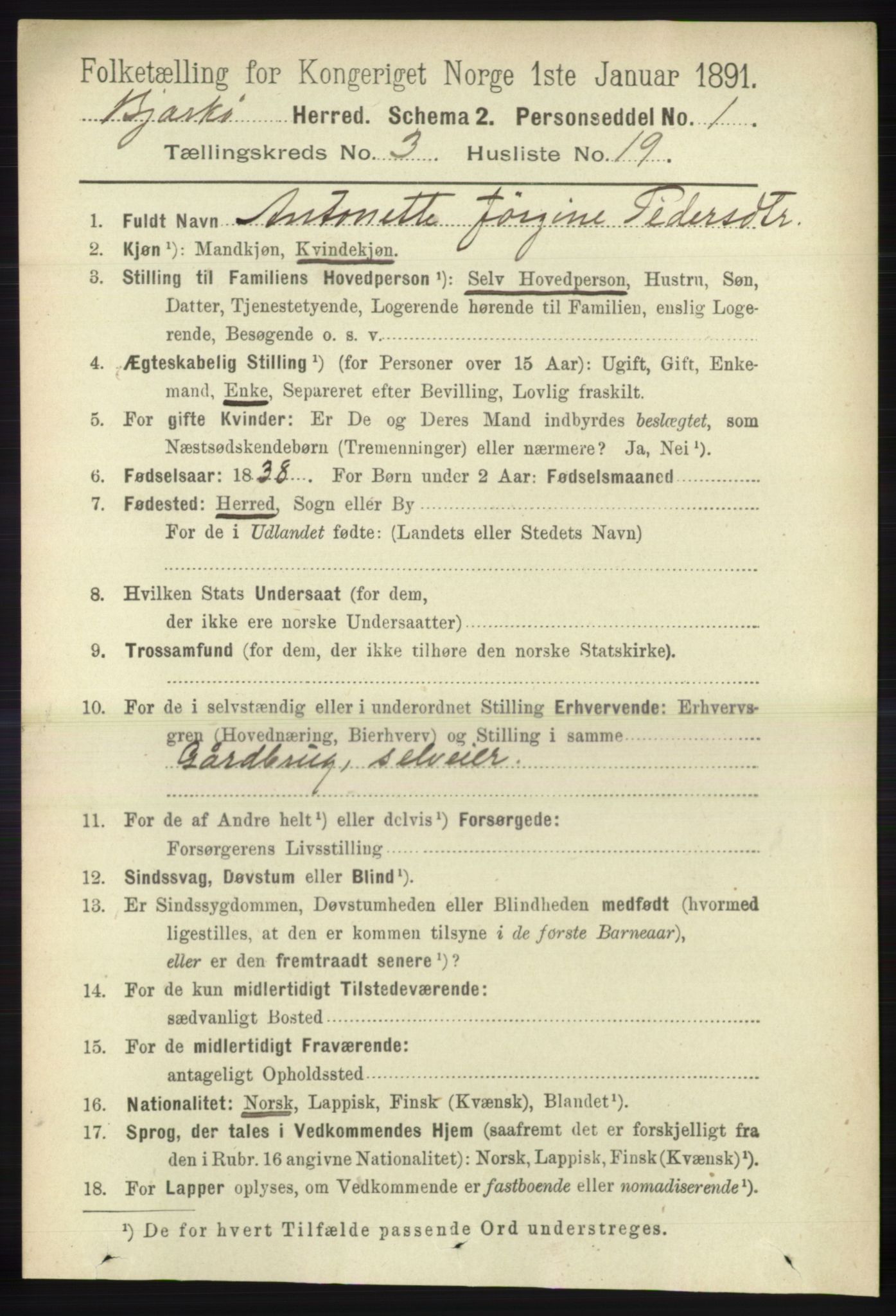 RA, 1891 census for 1915 Bjarkøy, 1891, p. 1650