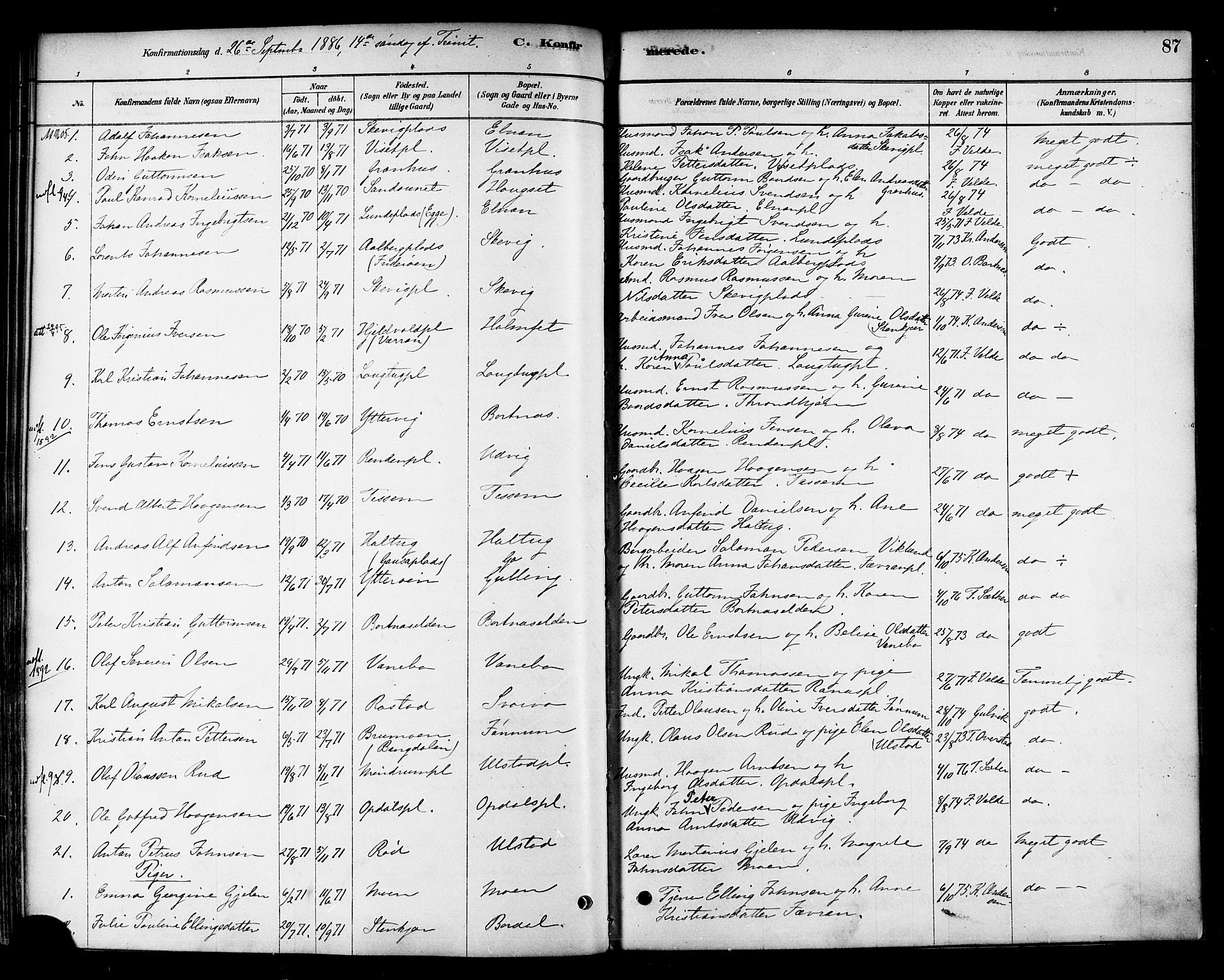 Ministerialprotokoller, klokkerbøker og fødselsregistre - Nord-Trøndelag, AV/SAT-A-1458/741/L0395: Parish register (official) no. 741A09, 1878-1888, p. 87