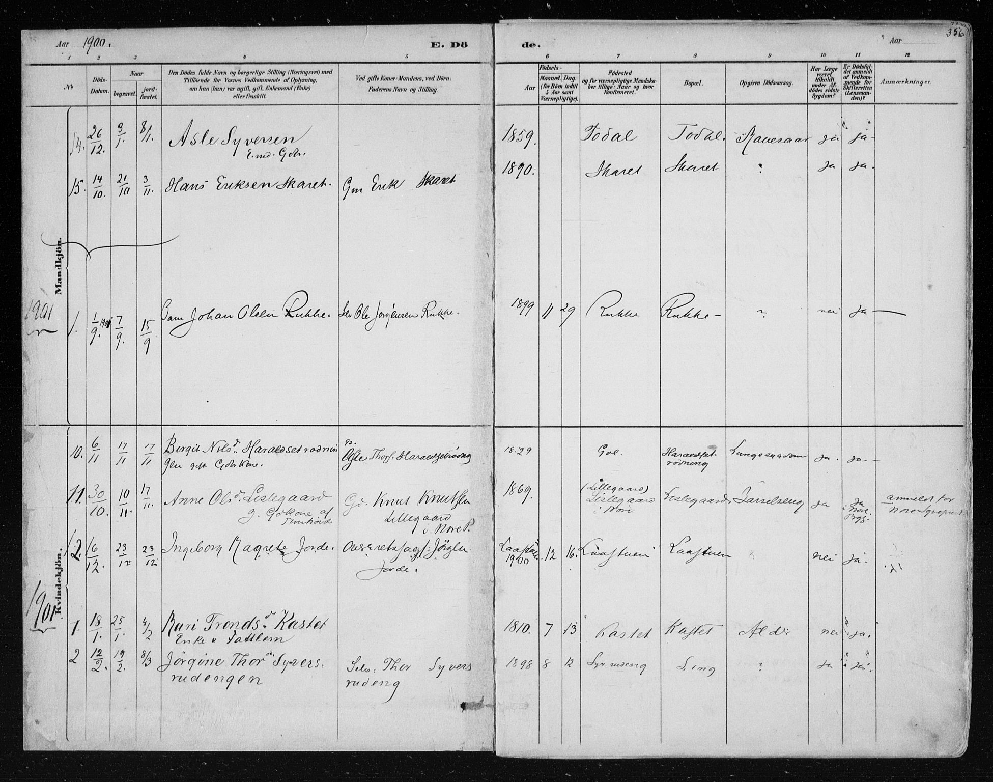 Nes kirkebøker, AV/SAKO-A-236/F/Fa/L0011: Parish register (official) no. 11, 1881-1912, p. 356