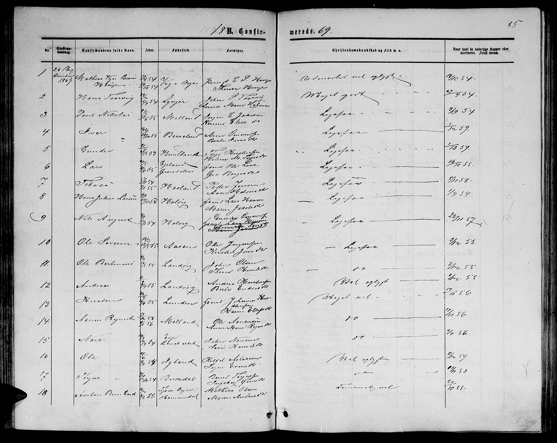 Hommedal sokneprestkontor, SAK/1111-0023/F/Fb/Fbb/L0006: Parish register (copy) no. B 6, 1869-1884, p. 85