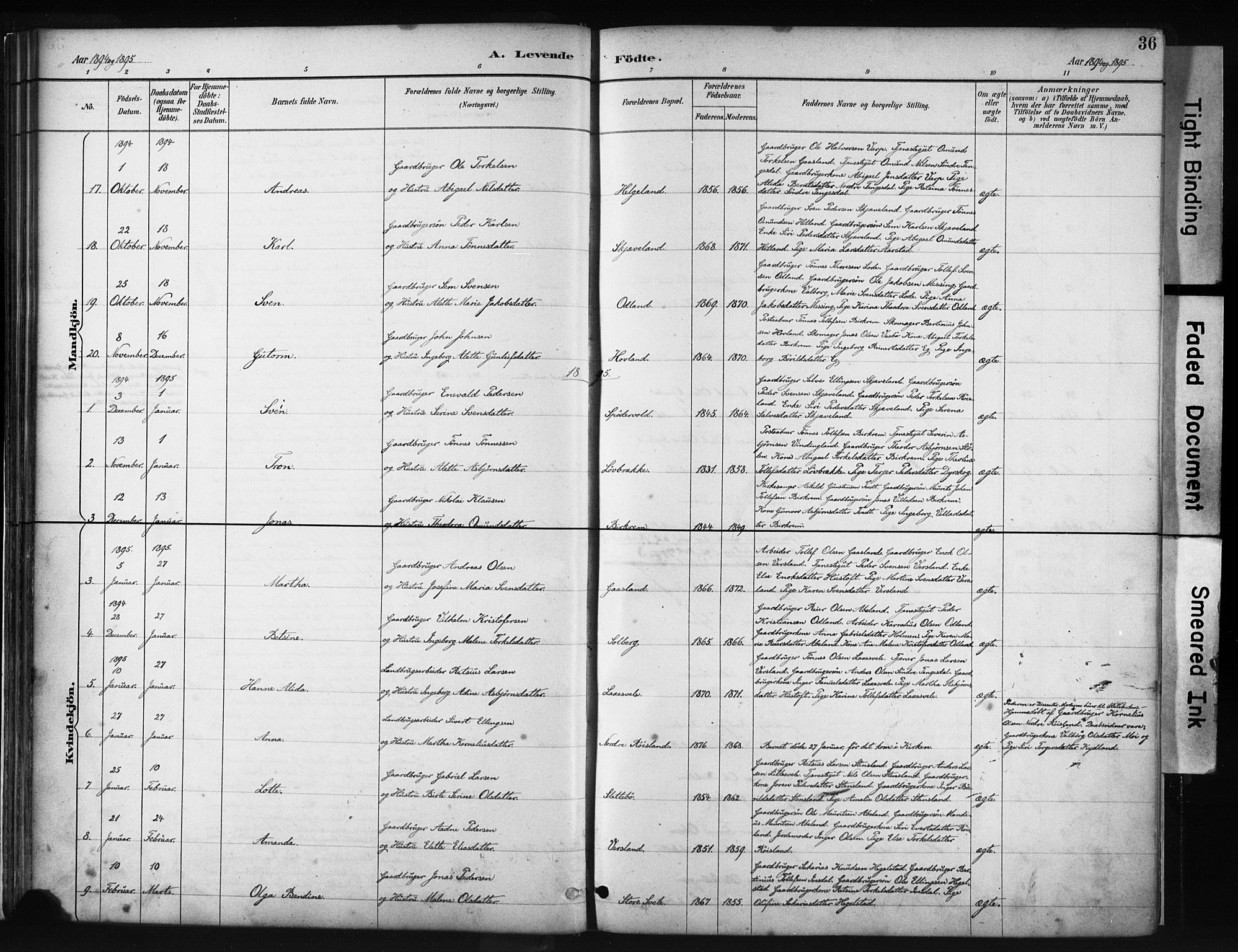 Helleland sokneprestkontor, AV/SAST-A-101810: Parish register (official) no. A 9, 1887-1908, p. 36