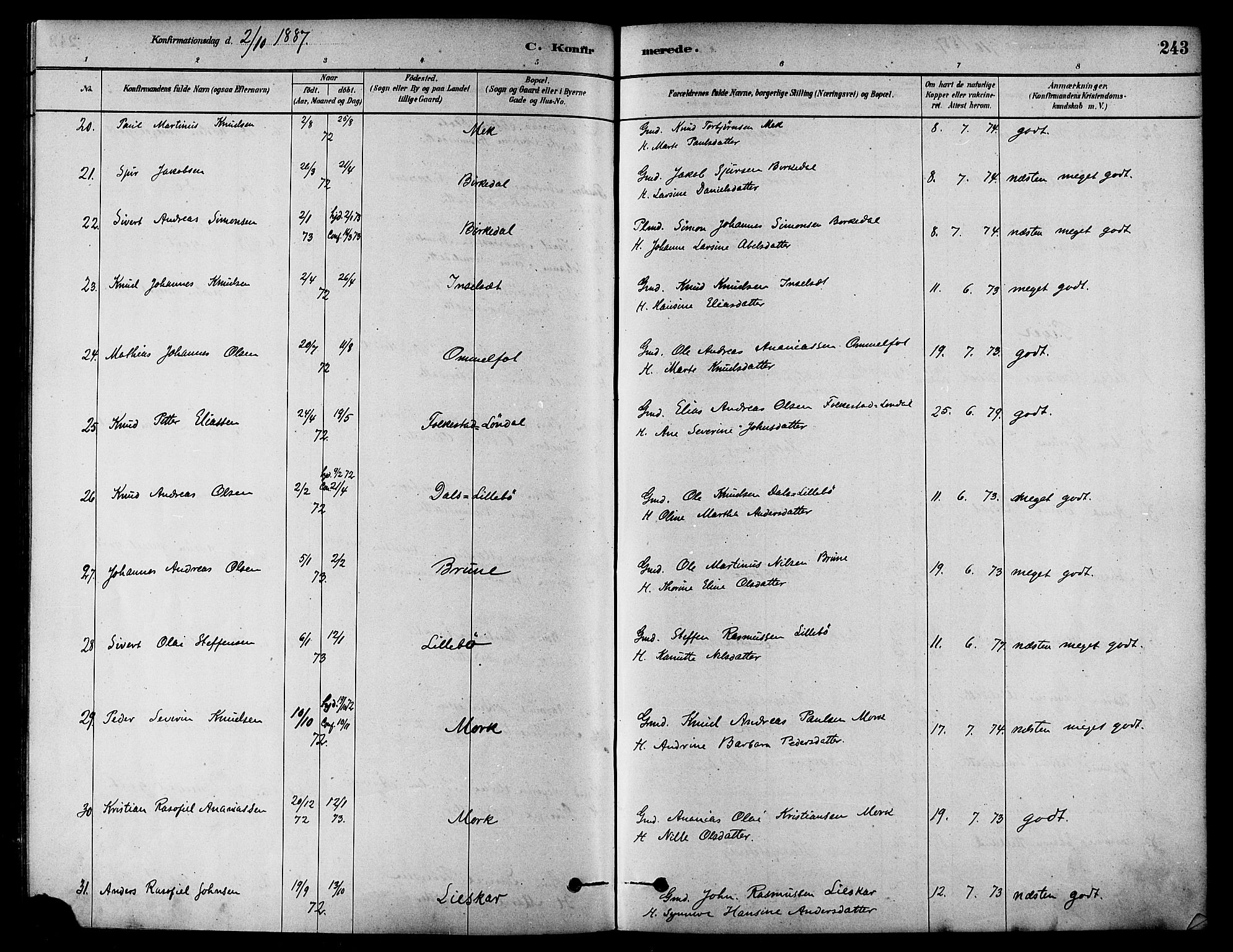 Ministerialprotokoller, klokkerbøker og fødselsregistre - Møre og Romsdal, AV/SAT-A-1454/511/L0141: Parish register (official) no. 511A08, 1878-1890, p. 243