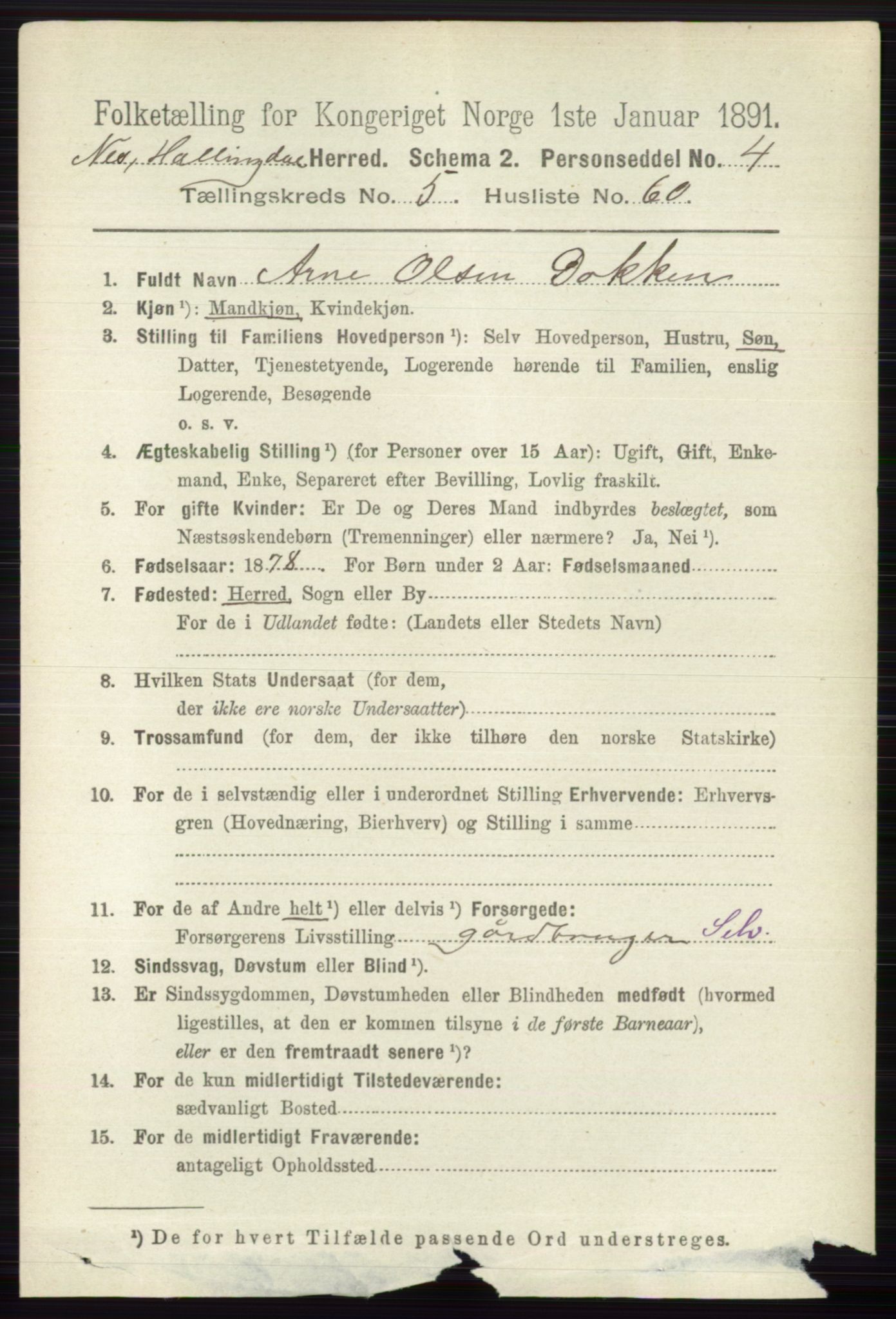 RA, 1891 census for 0616 Nes, 1891, p. 2943