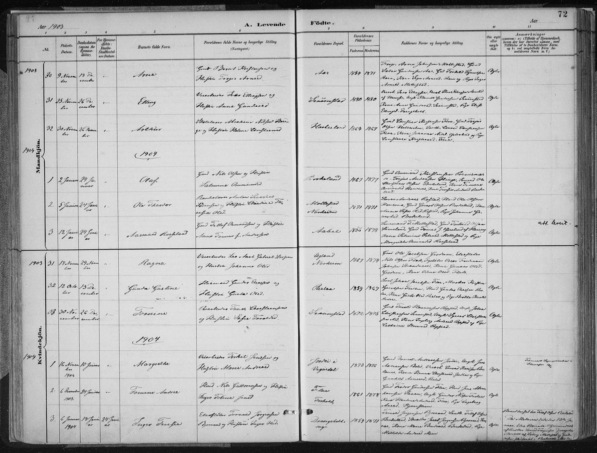 Birkenes sokneprestkontor, AV/SAK-1111-0004/F/Fa/L0005: Parish register (official) no. A 5, 1887-1907, p. 72