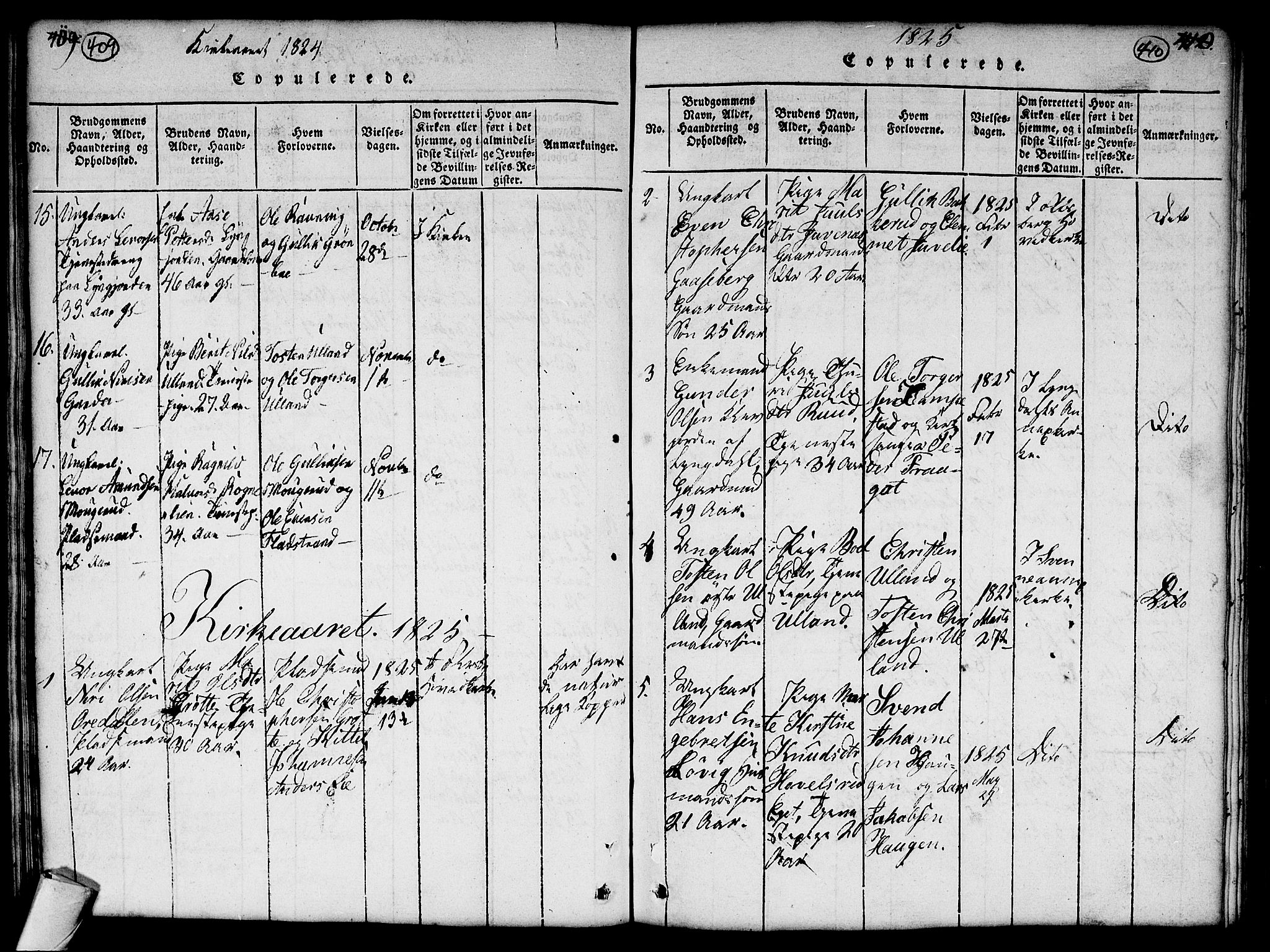 Flesberg kirkebøker, SAKO/A-18/G/Ga/L0001: Parish register (copy) no. I 1, 1816-1834, p. 409-410