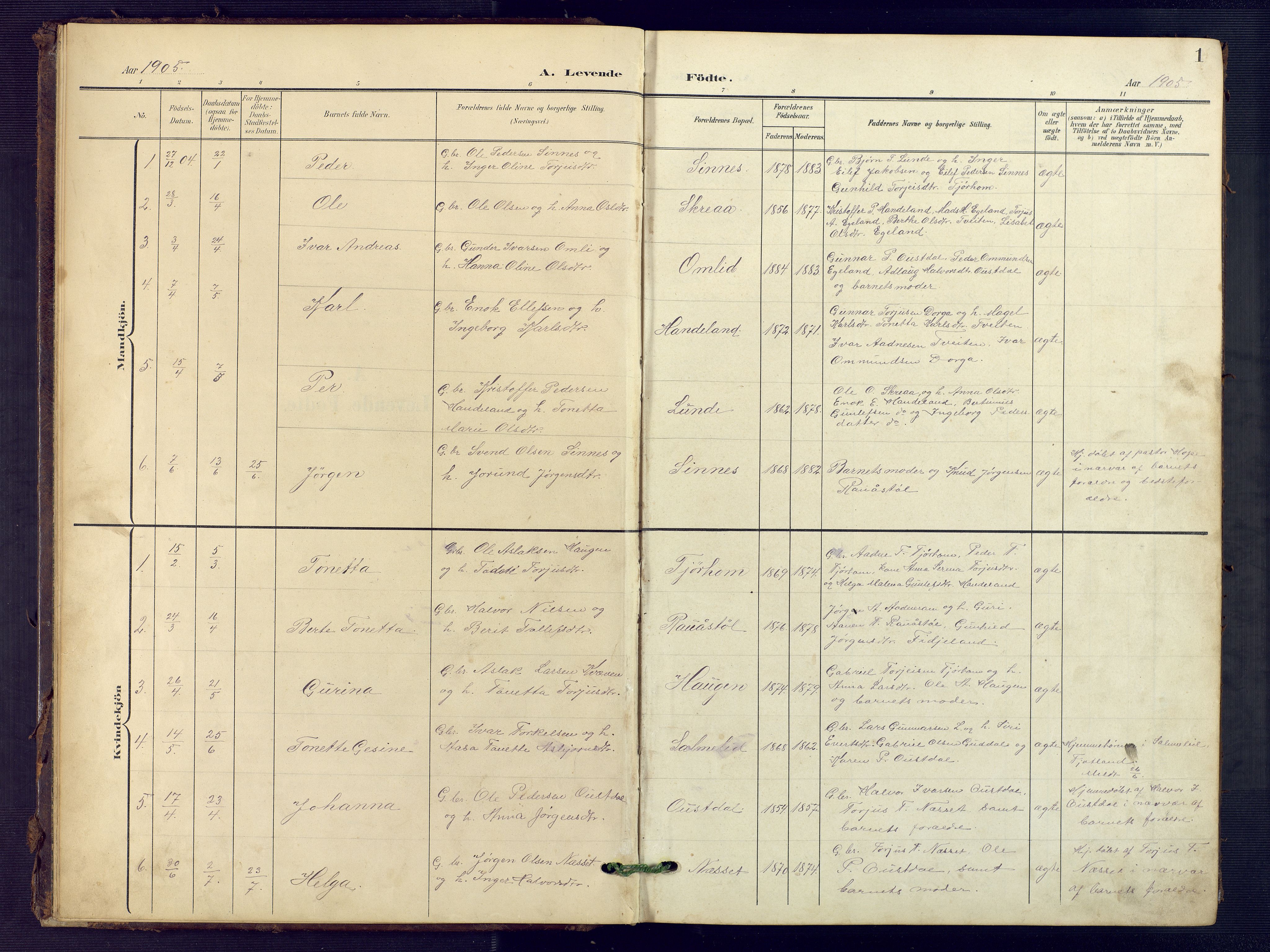 Sirdal sokneprestkontor, SAK/1111-0036/F/Fb/Fba/L0002: Parish register (copy) no. B 2, 1905-1958, p. 1