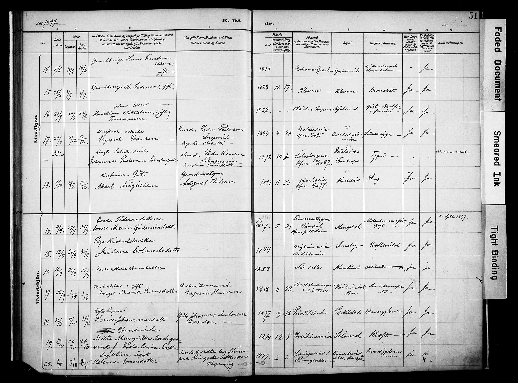 Nes prestekontor, Hedmark, AV/SAH-PREST-020/K/Ka/L0011: Parish register (official) no. 11, 1887-1905, p. 51