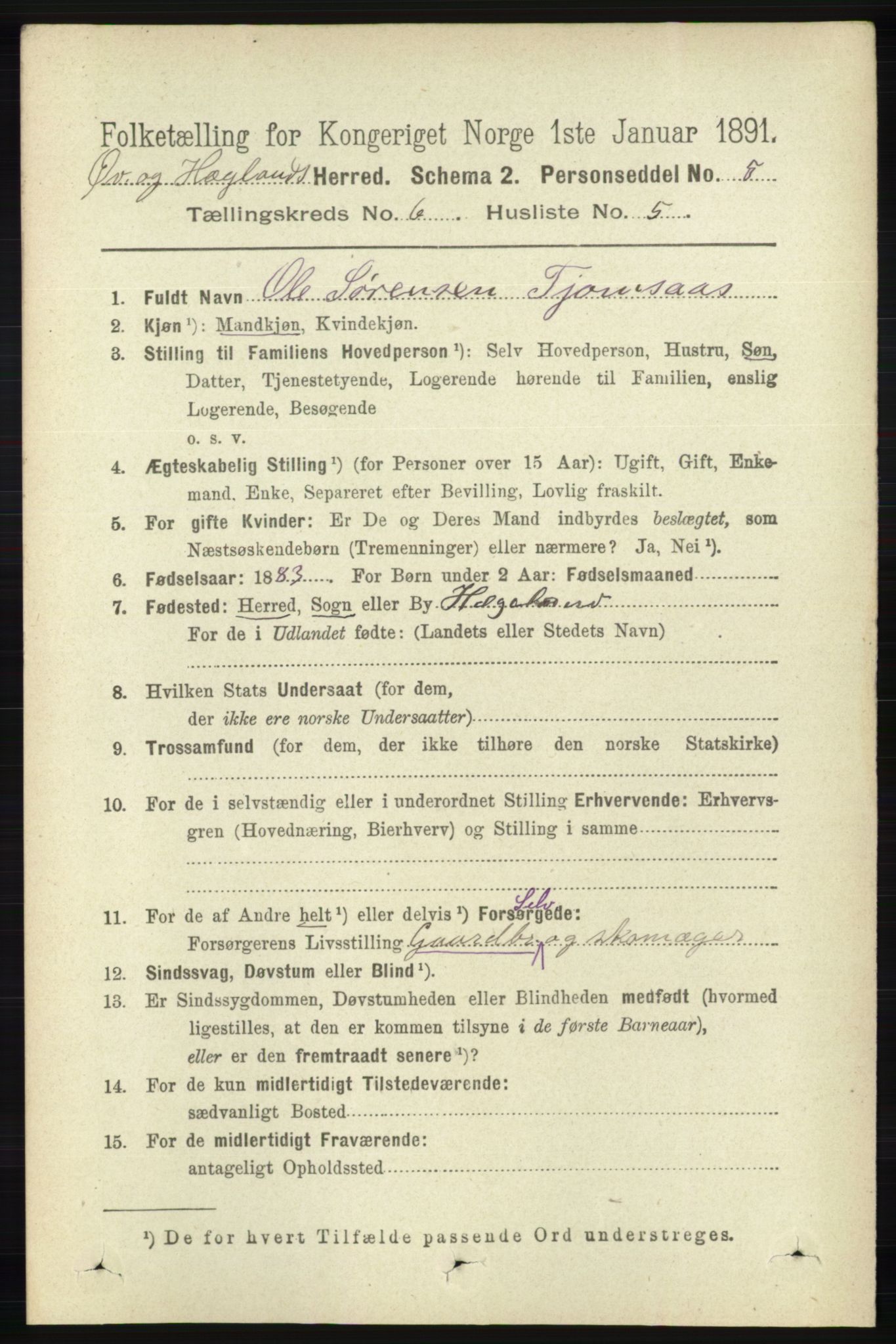 RA, 1891 census for 1016 Øvrebø og Hægeland, 1891, p. 1196