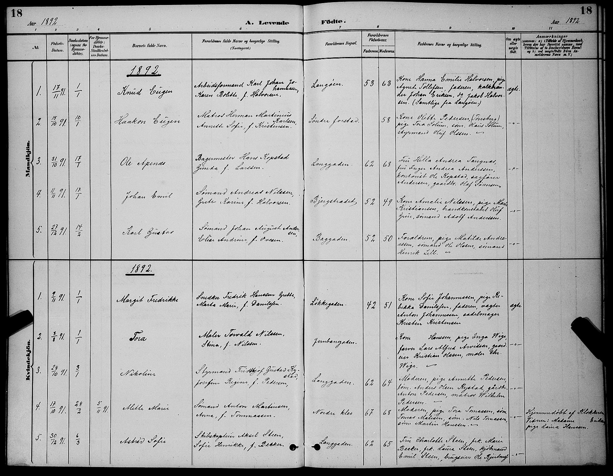 Holmestrand kirkebøker, AV/SAKO-A-346/G/Ga/L0005: Parish register (copy) no. 5, 1889-1901, p. 18