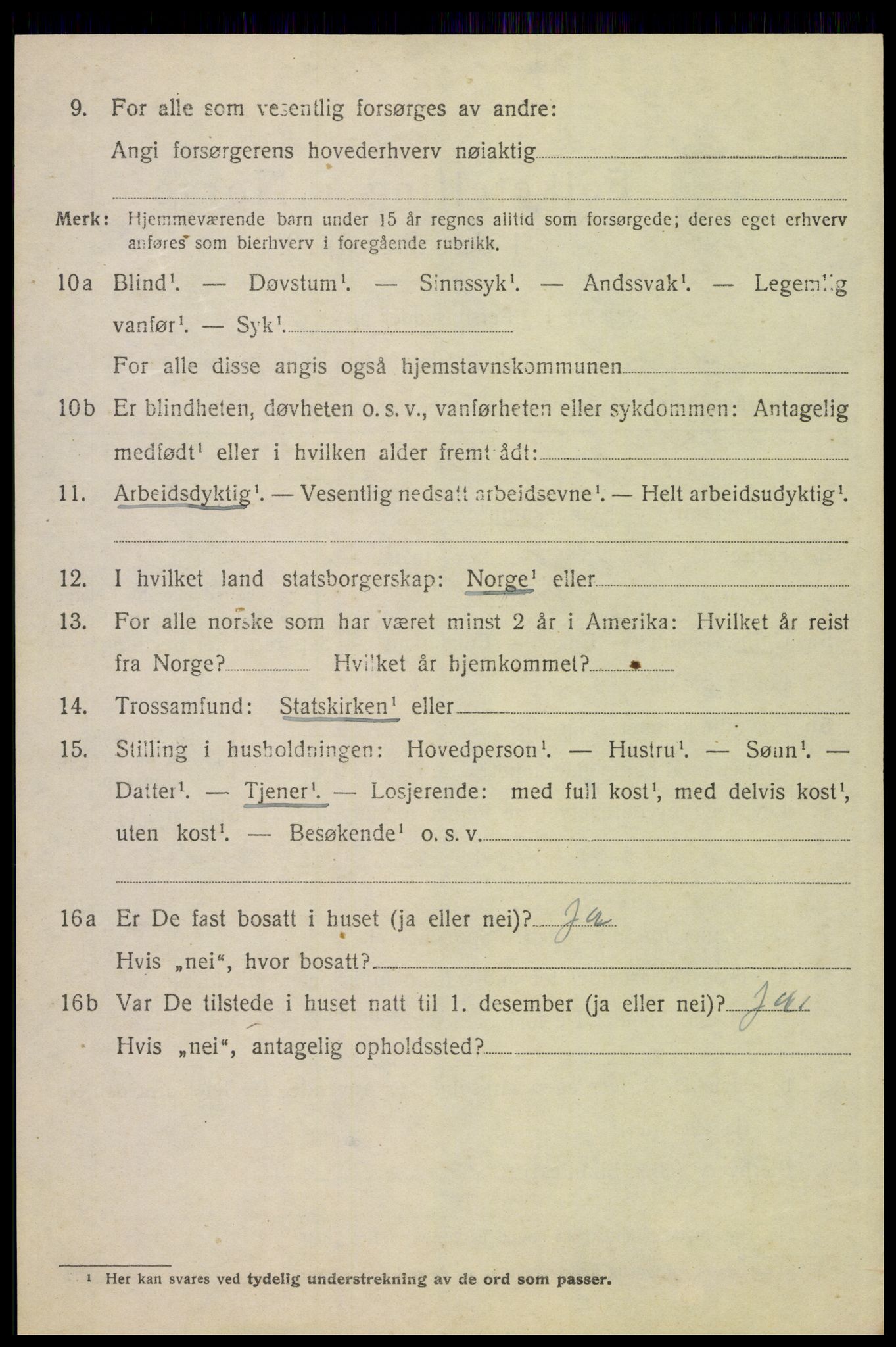 SAH, 1920 census for Tynset, 1920, p. 6893