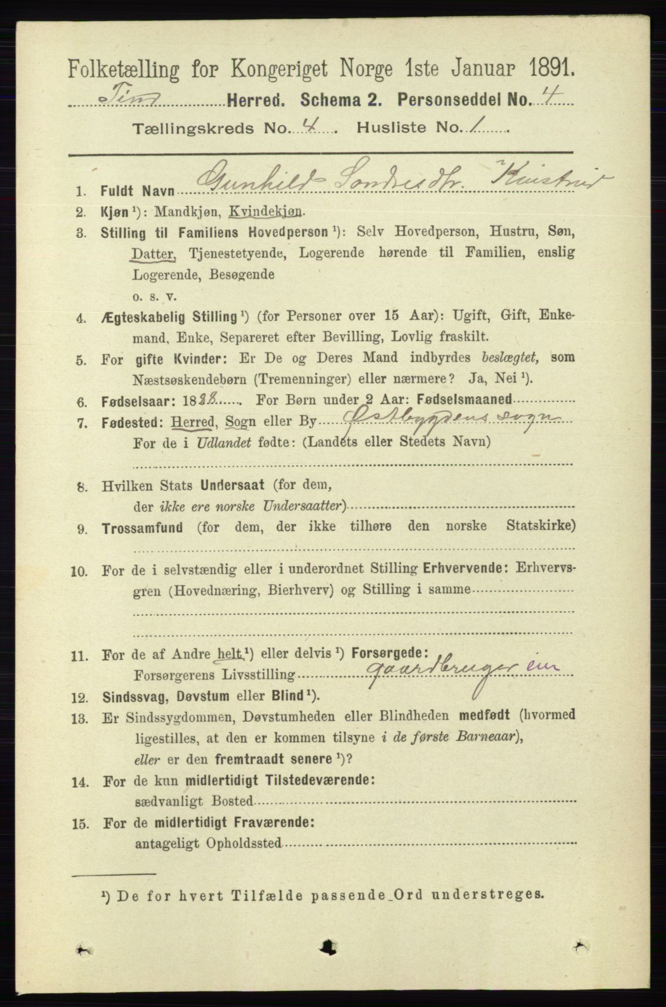 RA, 1891 census for 0826 Tinn, 1891, p. 727