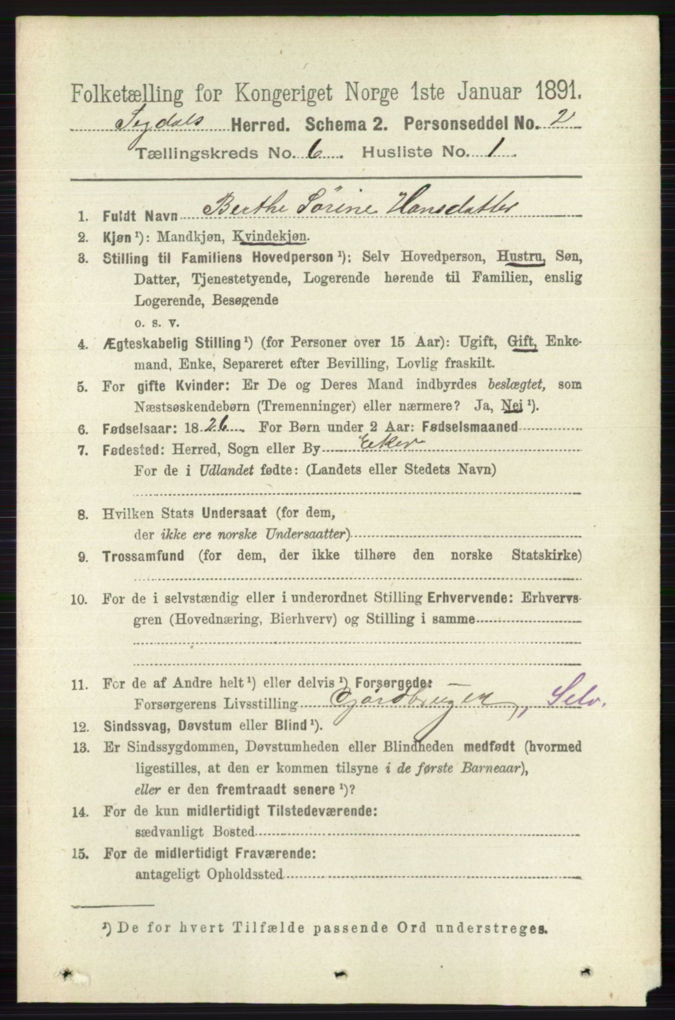 RA, 1891 census for 0621 Sigdal, 1891, p. 2424