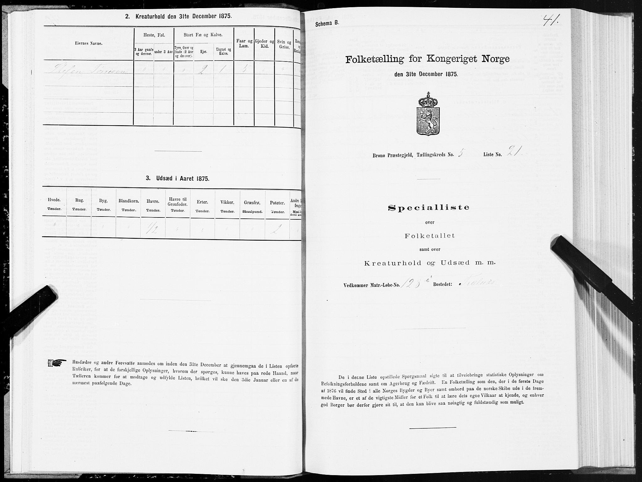 SAT, 1875 census for 1814P Brønnøy, 1875, p. 3041