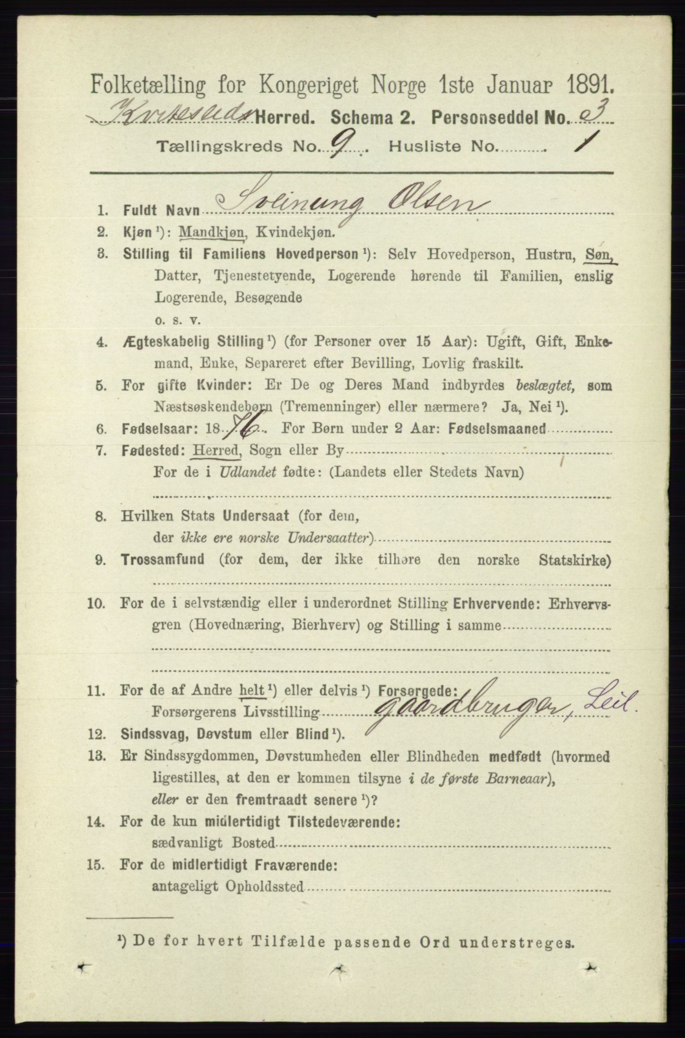 RA, 1891 census for 0829 Kviteseid, 1891, p. 1993