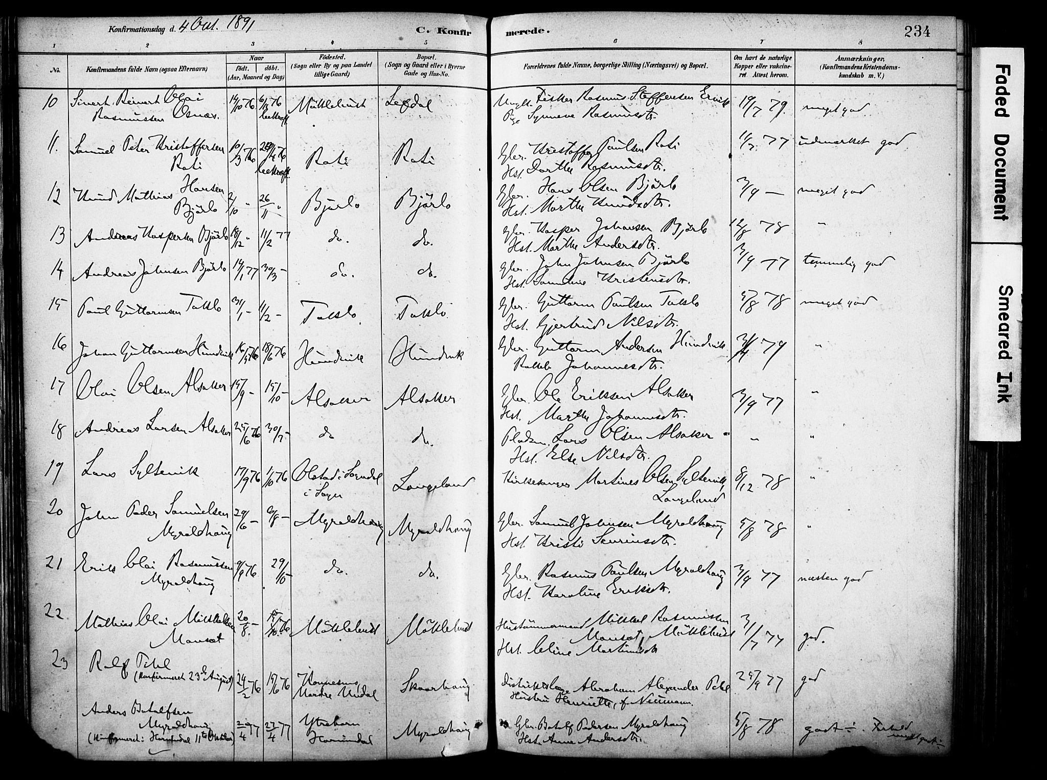 Eid sokneprestembete, AV/SAB-A-82301/H/Haa/Haab/L0001: Parish register (official) no. B 1, 1879-1906, p. 234