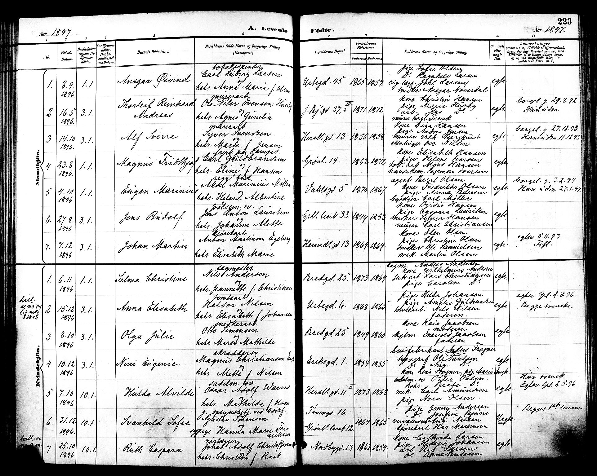 Grønland prestekontor Kirkebøker, SAO/A-10848/F/Fa/L0012: Parish register (official) no. 12, 1893-1900, p. 223