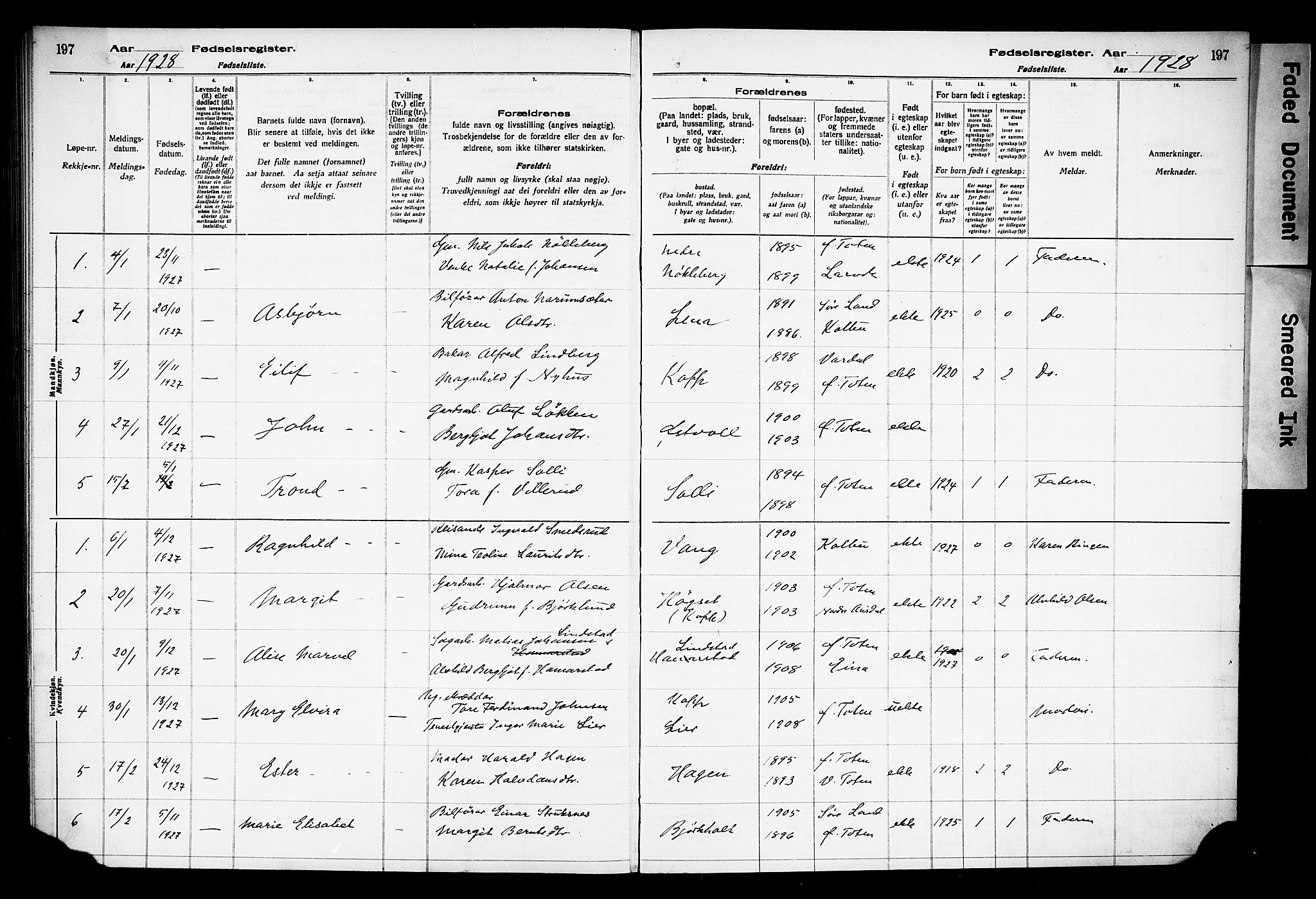 Østre Toten prestekontor, SAH/PREST-104/I/Id/L0001/0001: Birth register no. 1.1, 1916-1928, p. 197