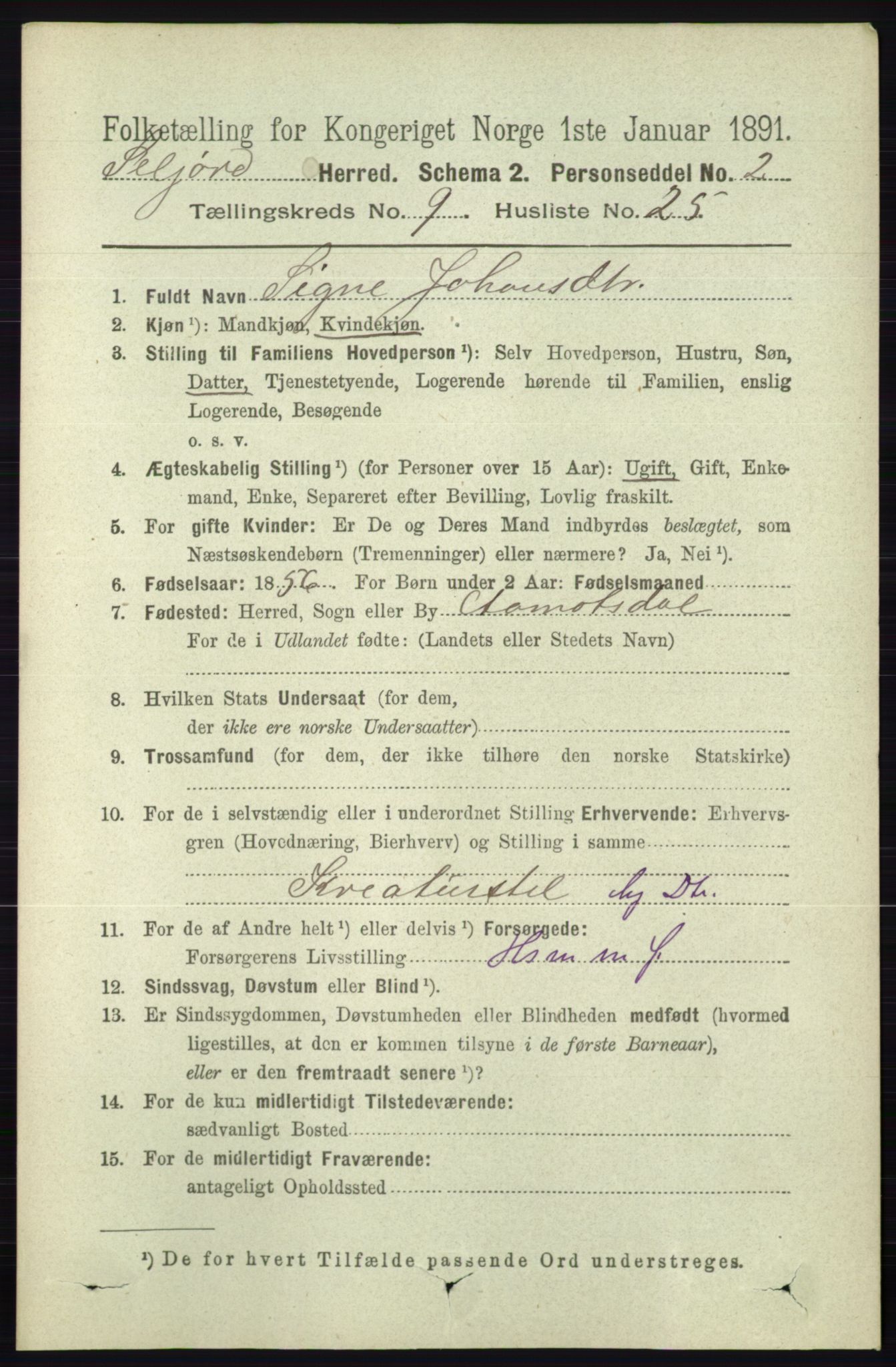 RA, 1891 census for 0828 Seljord, 1891, p. 3310