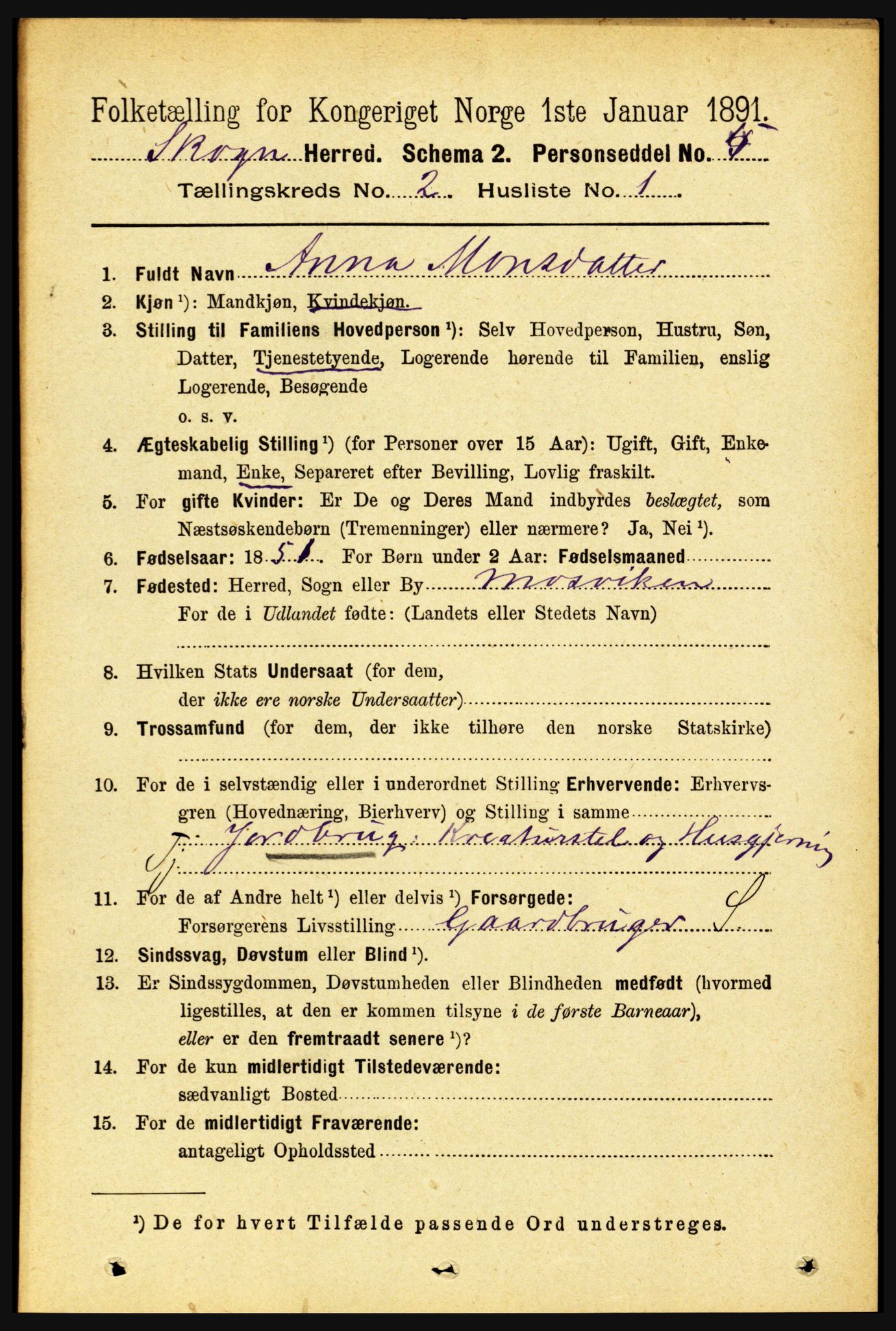 RA, 1891 census for 1719 Skogn, 1891, p. 979