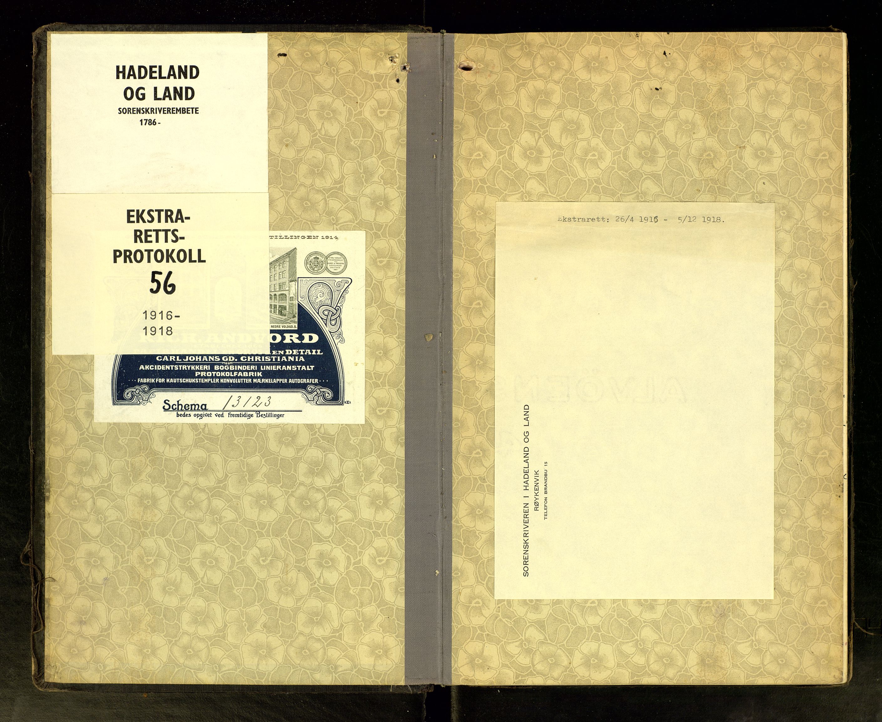 Hadeland og Land tingrett, SAH/TING-010/G/Gc/L0056: Ekstrarettsprotokoll, 1916-1918