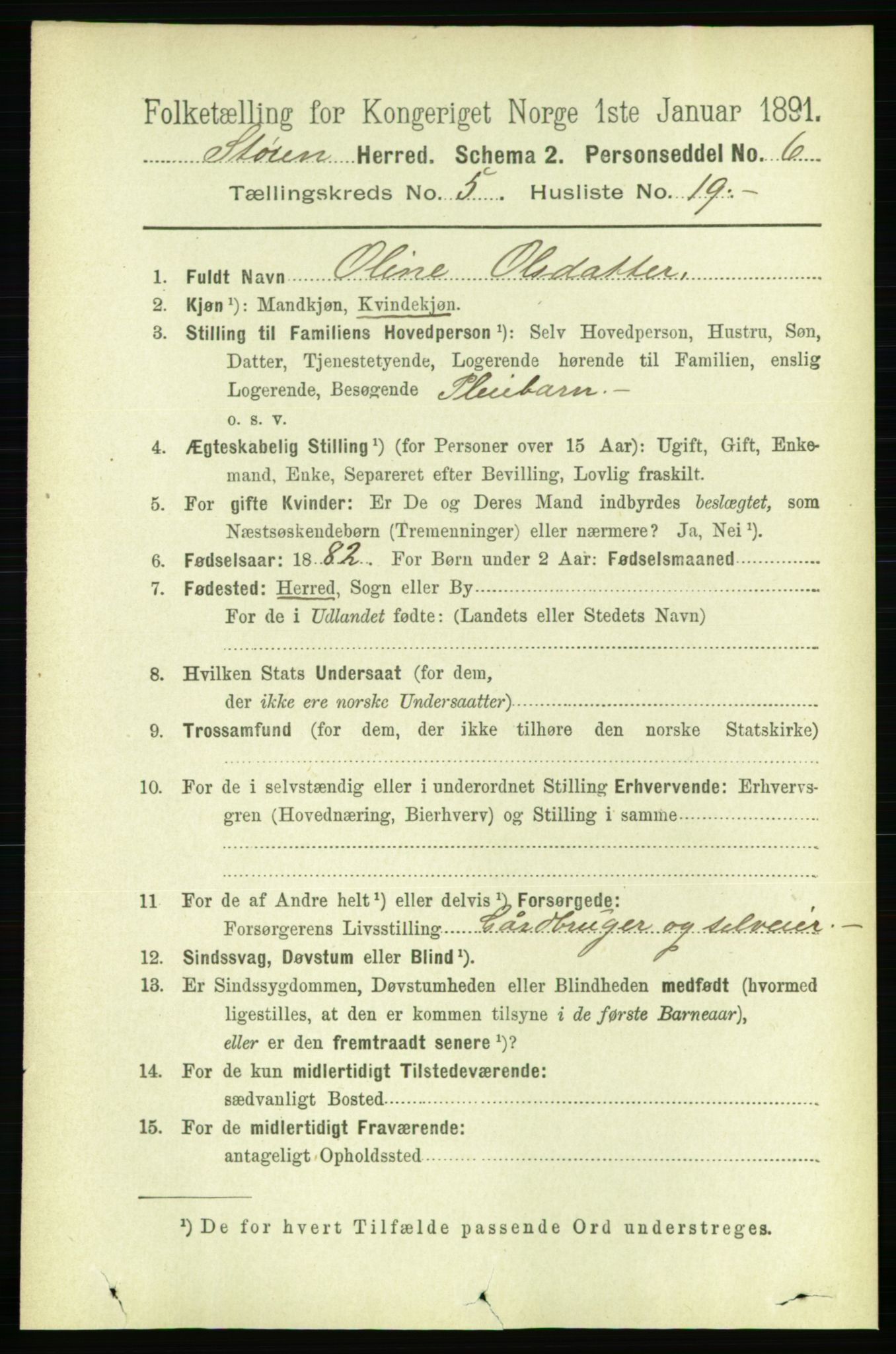 RA, 1891 census for 1648 Støren, 1891, p. 2047