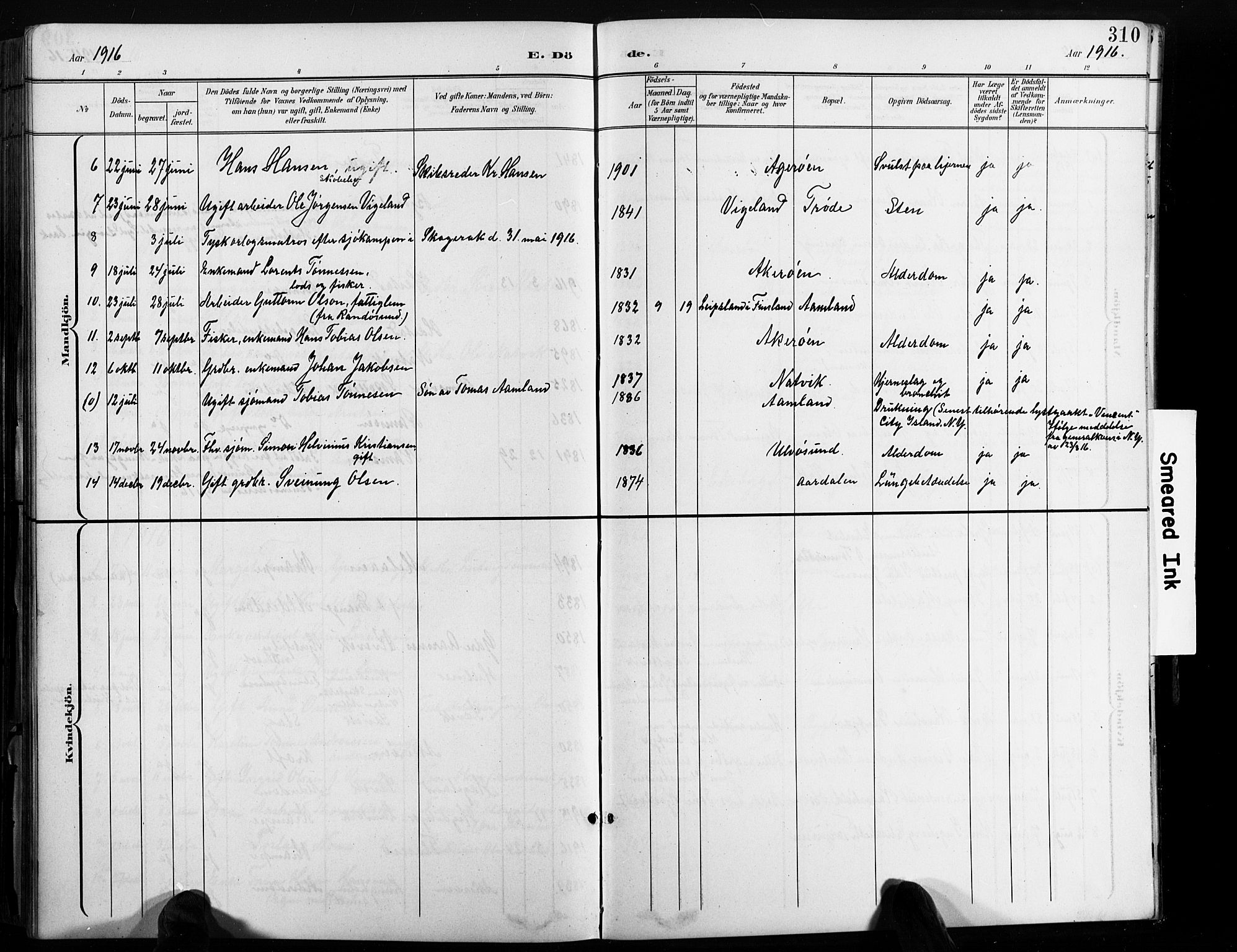Høvåg sokneprestkontor, SAK/1111-0025/F/Fb/L0005: Parish register (copy) no. B 5, 1898-1929, p. 310
