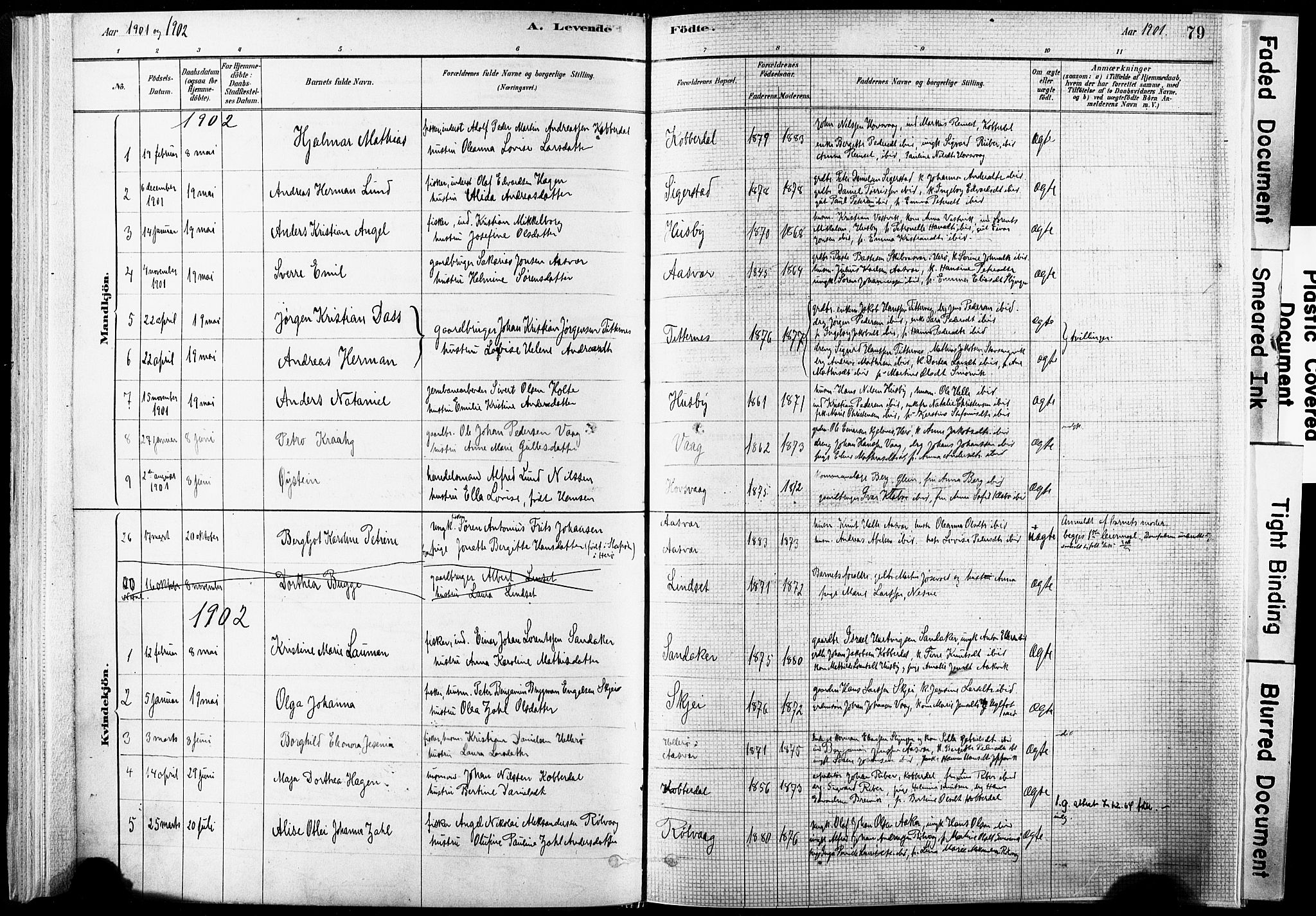 Ministerialprotokoller, klokkerbøker og fødselsregistre - Nordland, SAT/A-1459/835/L0525: Parish register (official) no. 835A03I, 1881-1910, p. 79