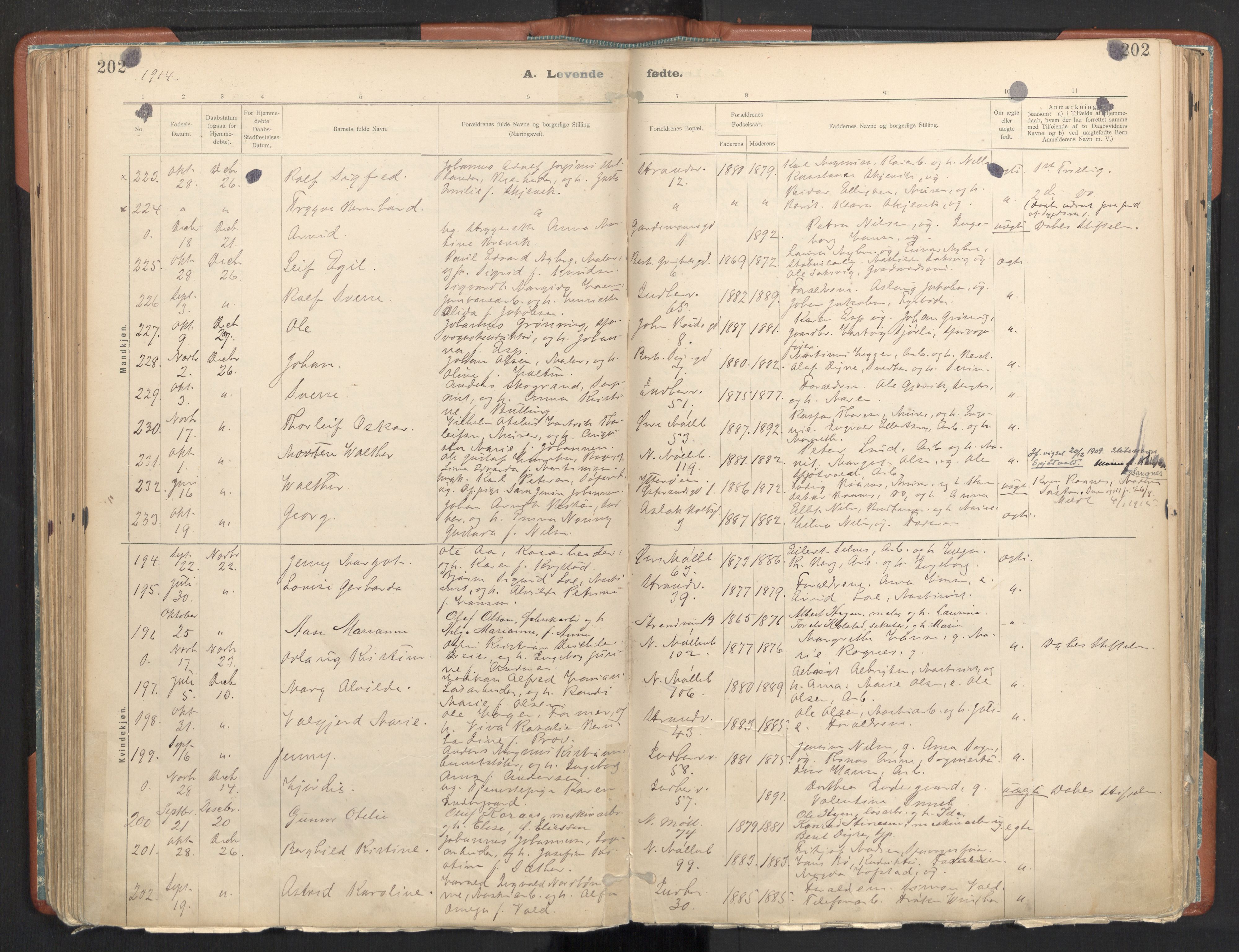 Ministerialprotokoller, klokkerbøker og fødselsregistre - Sør-Trøndelag, SAT/A-1456/605/L0243: Parish register (official) no. 605A05, 1908-1923, p. 202