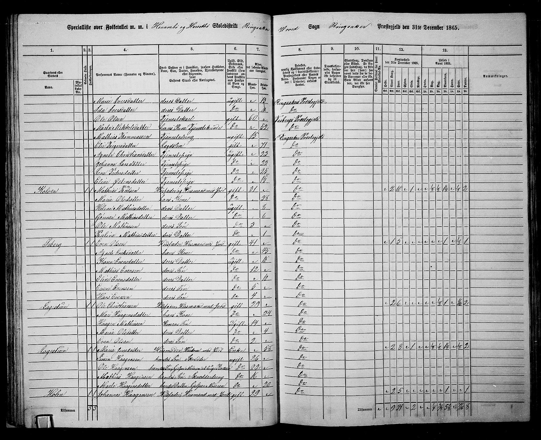 RA, 1865 census for Ringsaker, 1865, p. 68