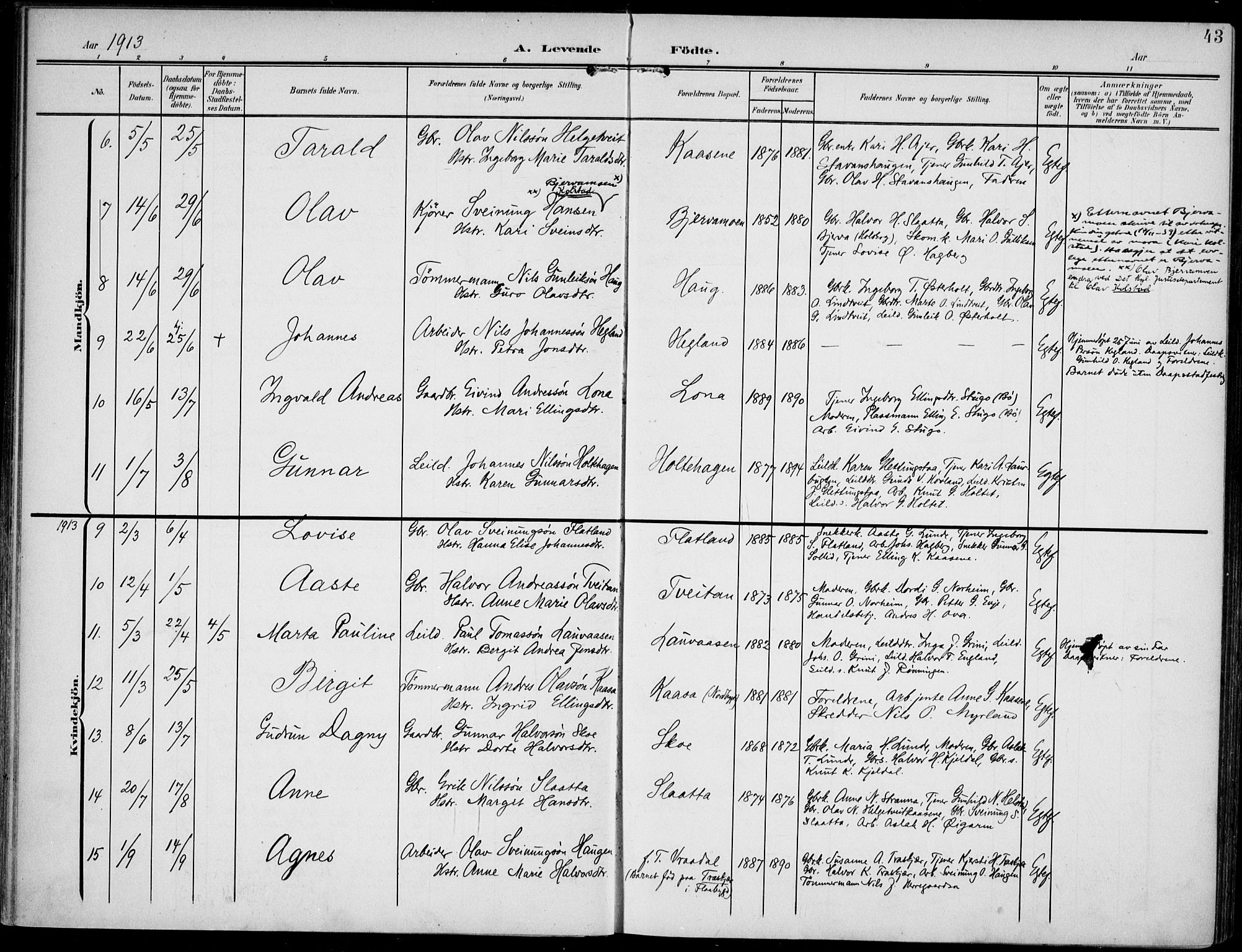 Lunde kirkebøker, SAKO/A-282/F/Fa/L0004: Parish register (official) no. I 4, 1902-1913, p. 43