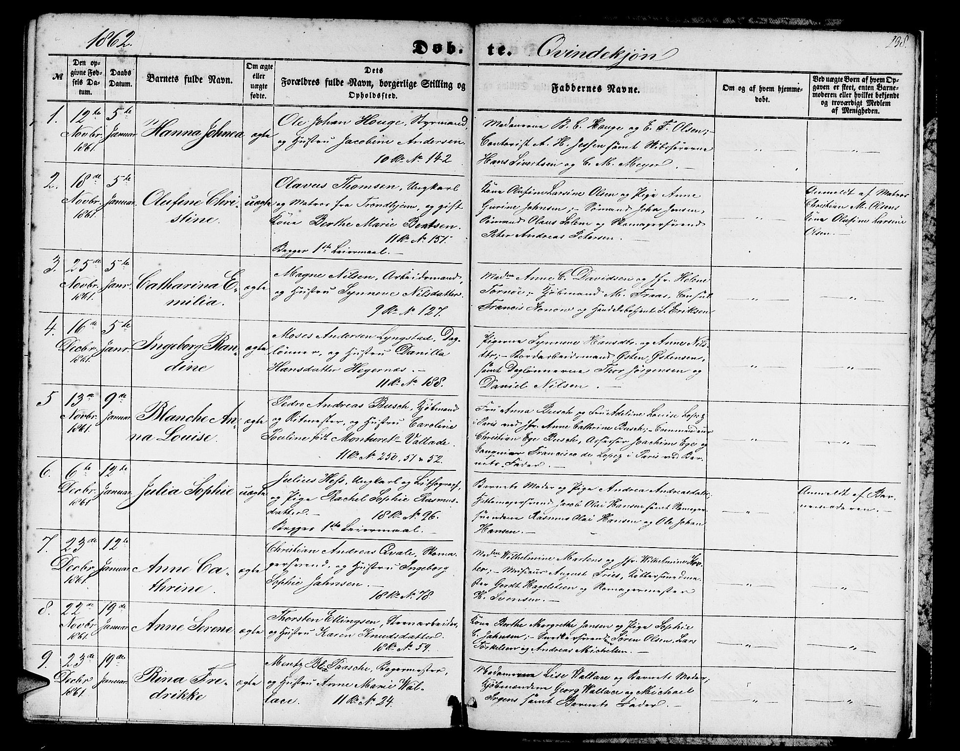 Domkirken sokneprestembete, SAB/A-74801/H/Hab/L0011: Parish register (copy) no. B 4, 1856-1862, p. 238