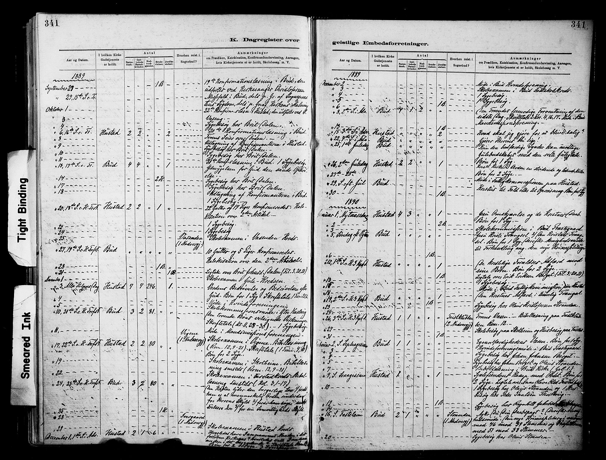 Ministerialprotokoller, klokkerbøker og fødselsregistre - Møre og Romsdal, AV/SAT-A-1454/566/L0769: Parish register (official) no. 566A08, 1881-1903, p. 341