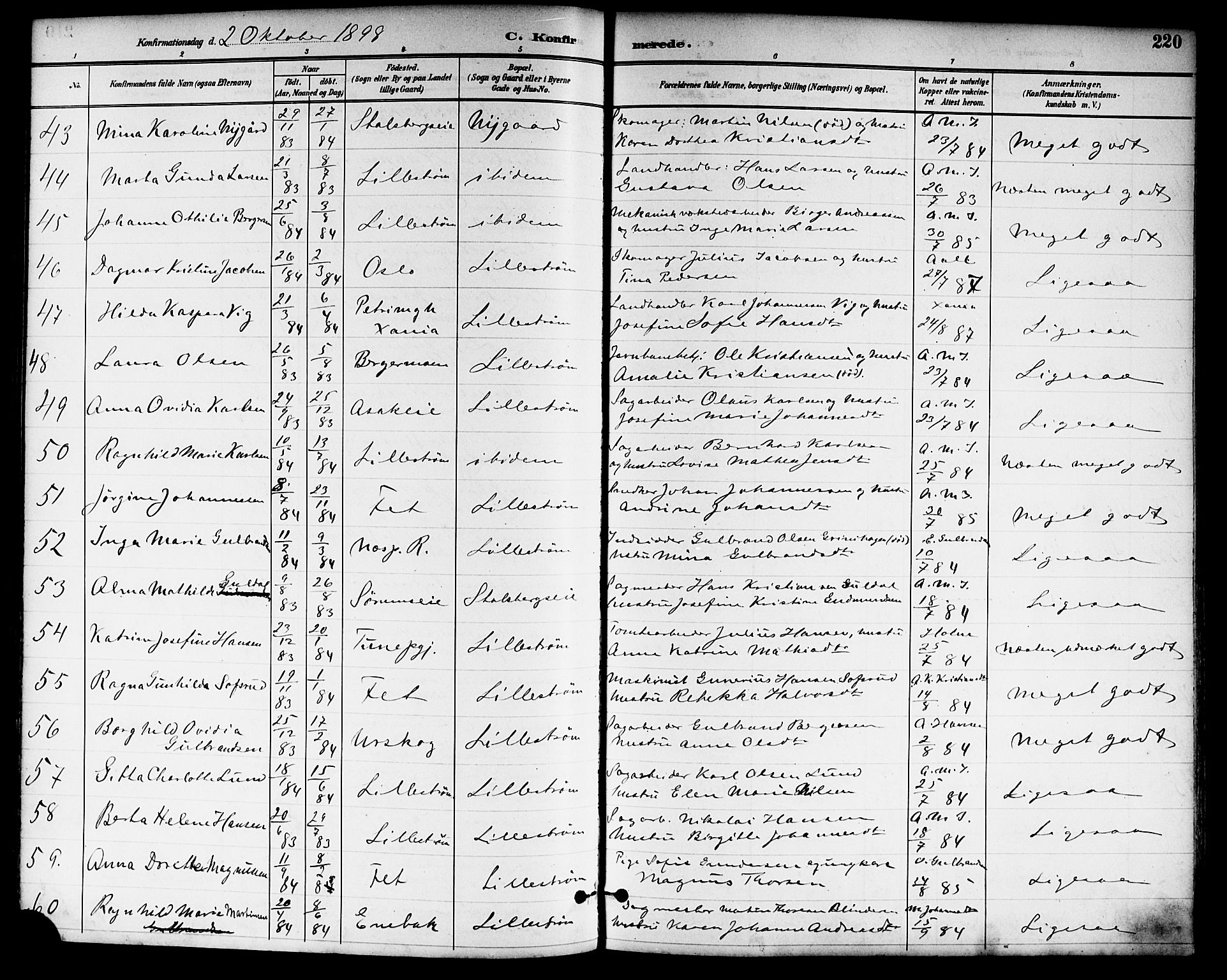 Skedsmo prestekontor Kirkebøker, SAO/A-10033a/F/Fa/L0014: Parish register (official) no. I 14, 1892-1901, p. 220