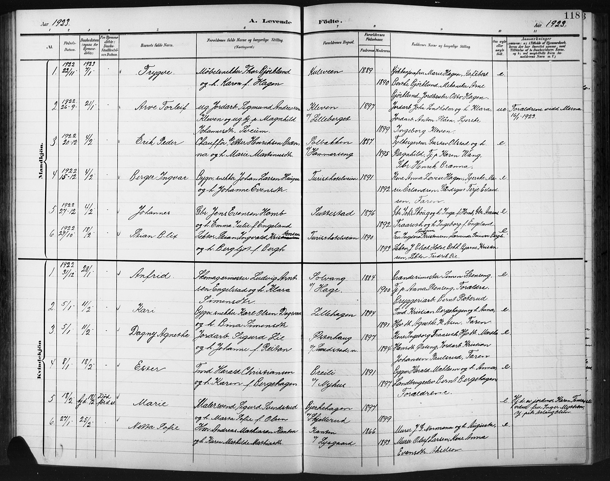 Fåberg prestekontor, SAH/PREST-086/H/Ha/Hab/L0012: Parish register (copy) no. 12, 1903-1924, p. 118