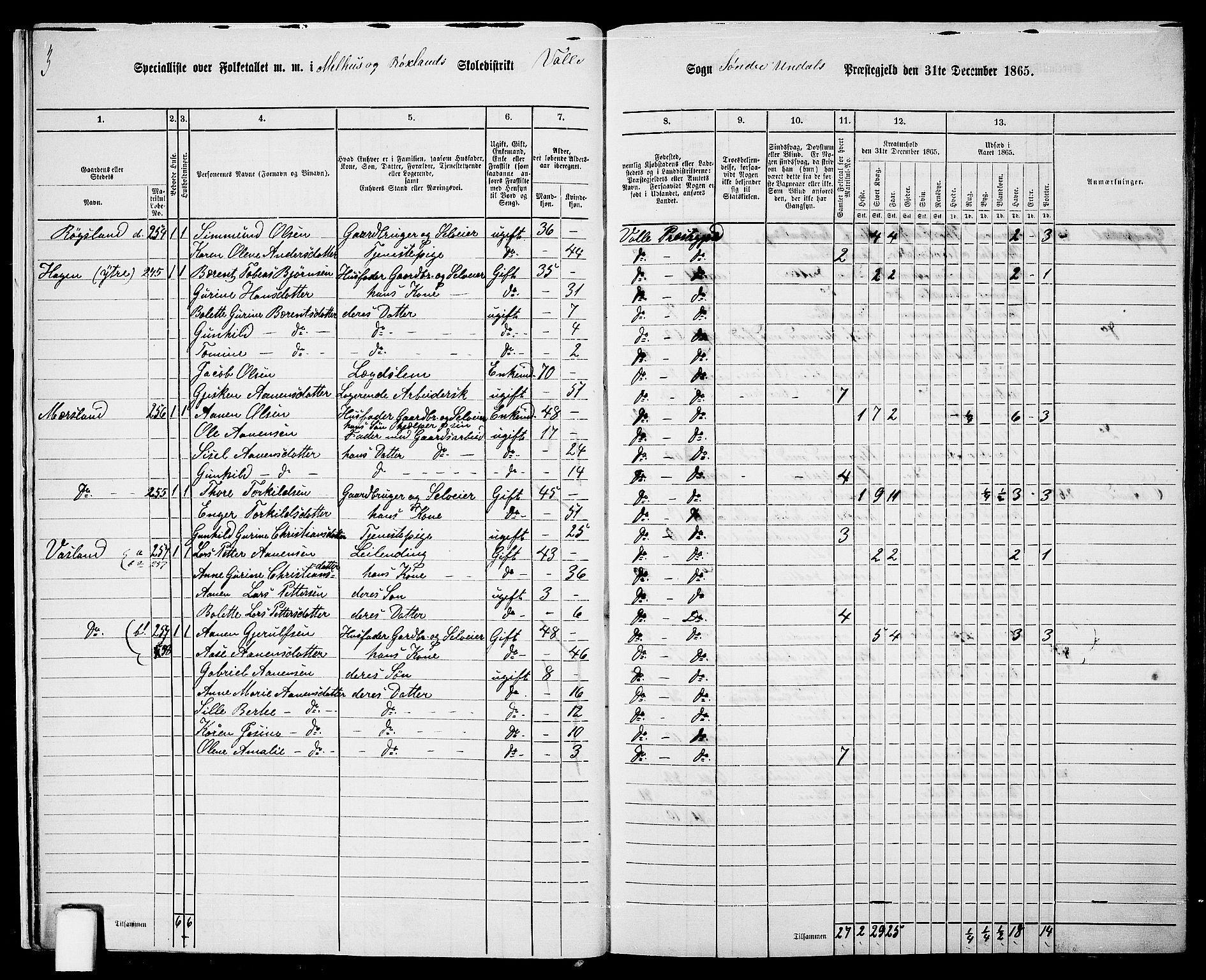 RA, 1865 census for Sør-Audnedal, 1865, p. 19