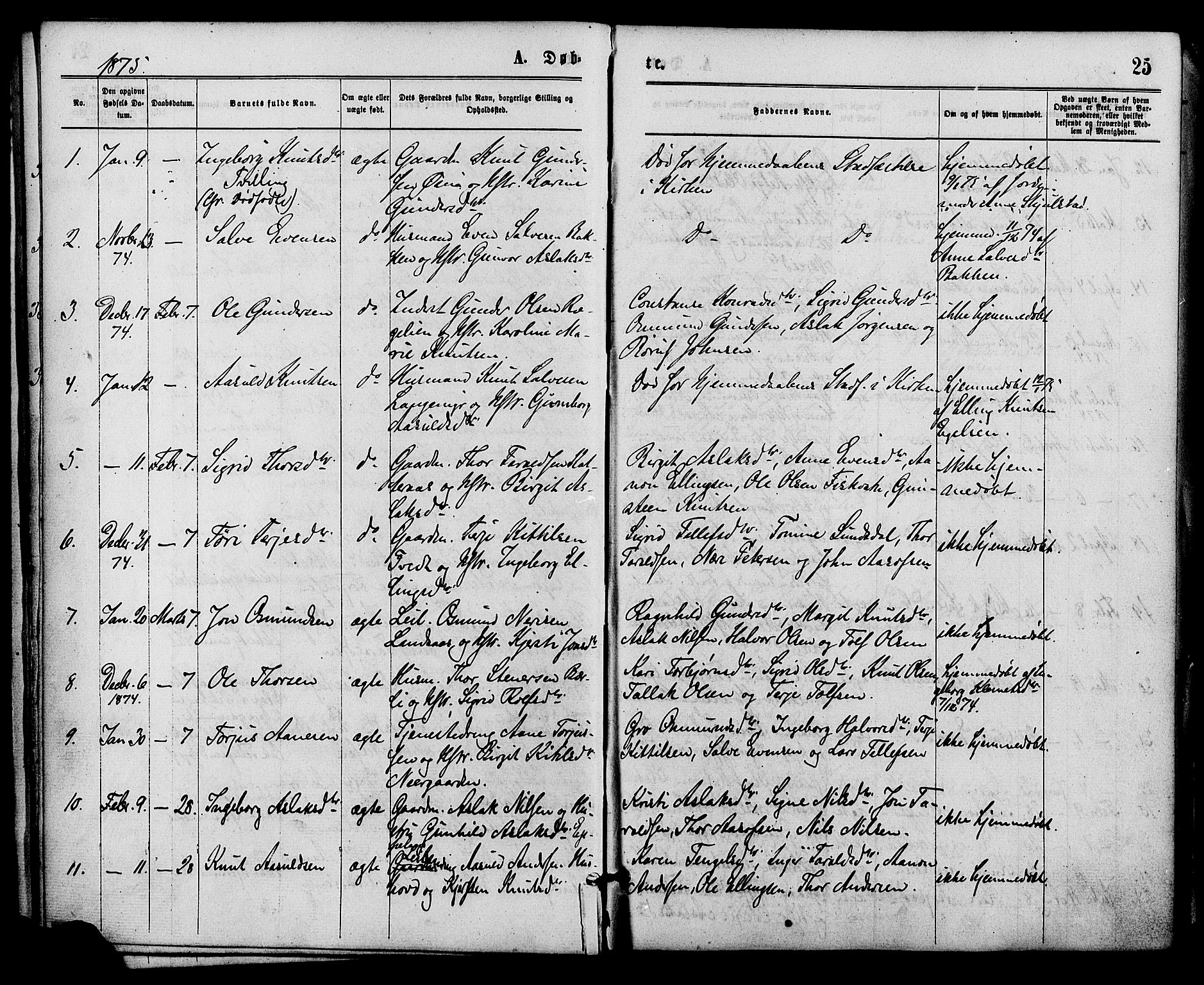 Åmli sokneprestkontor, AV/SAK-1111-0050/F/Fa/Fac/L0009: Parish register (official) no. A 9 /1, 1869-1884, p. 25